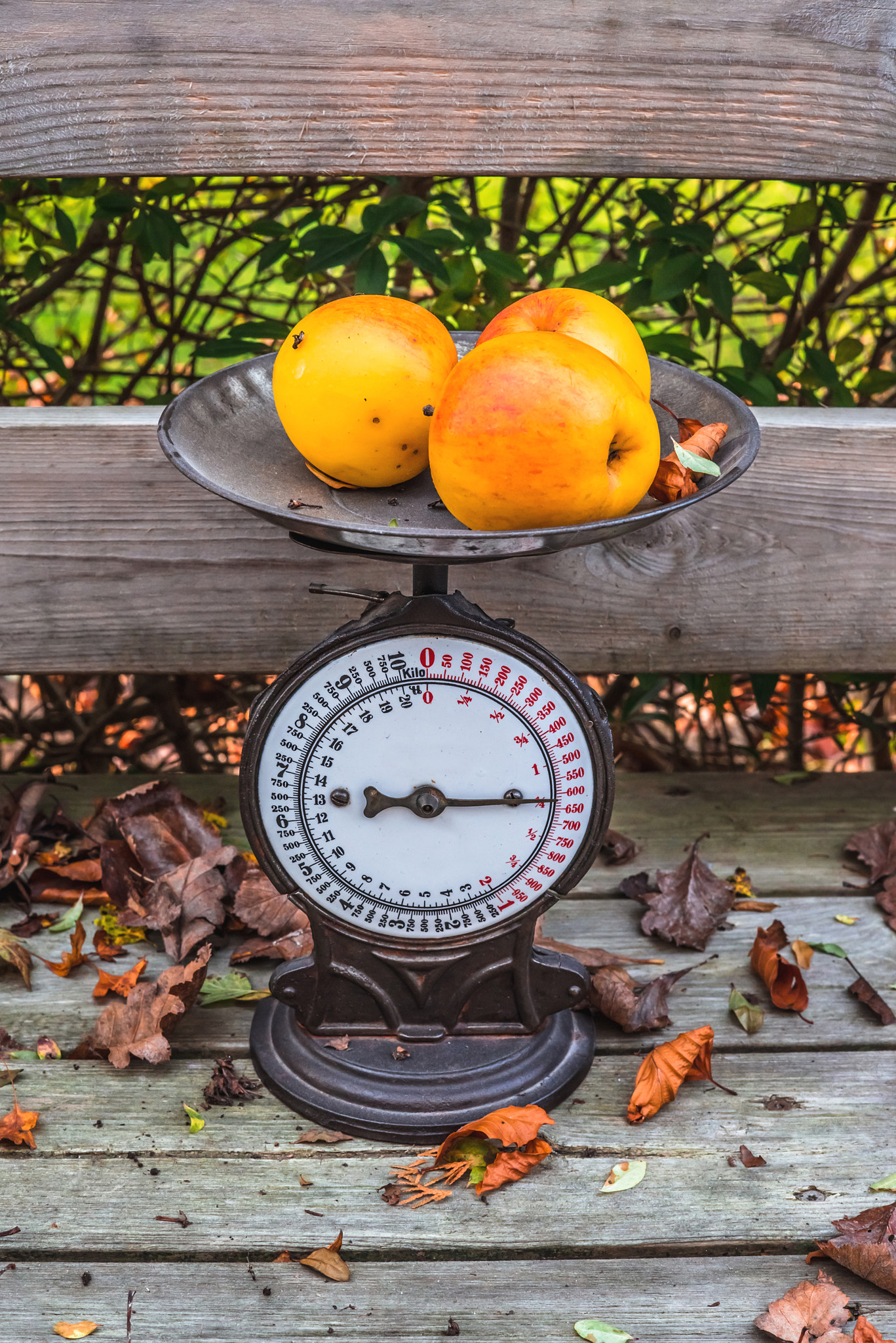 Sony a7R + Sony 50mm F1.4 sample photo. Old weight with yellow apples photography