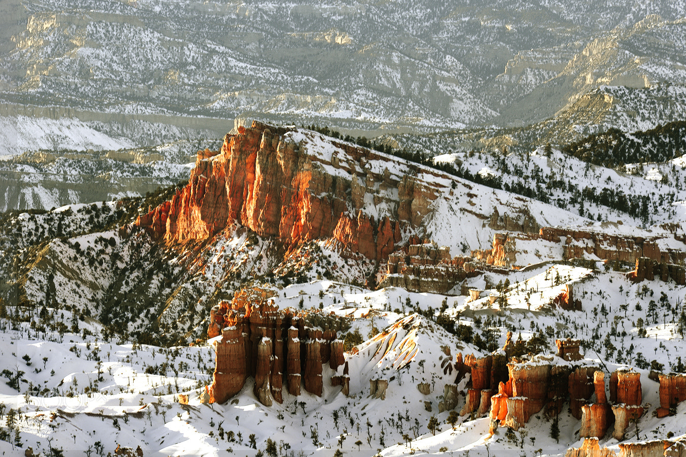 Nikon D4 sample photo. Utah photography
