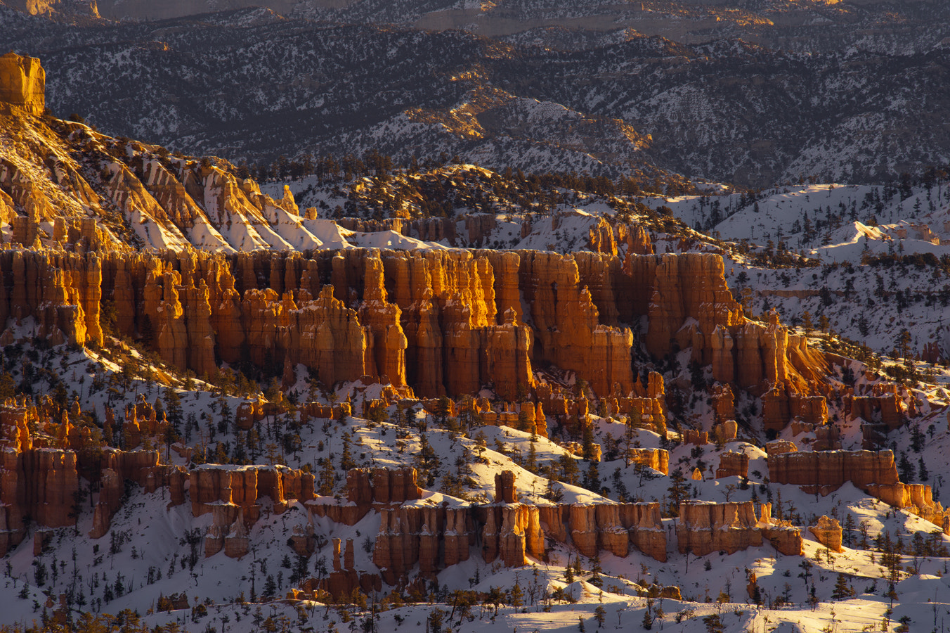 Nikon D4 sample photo. Utah photography