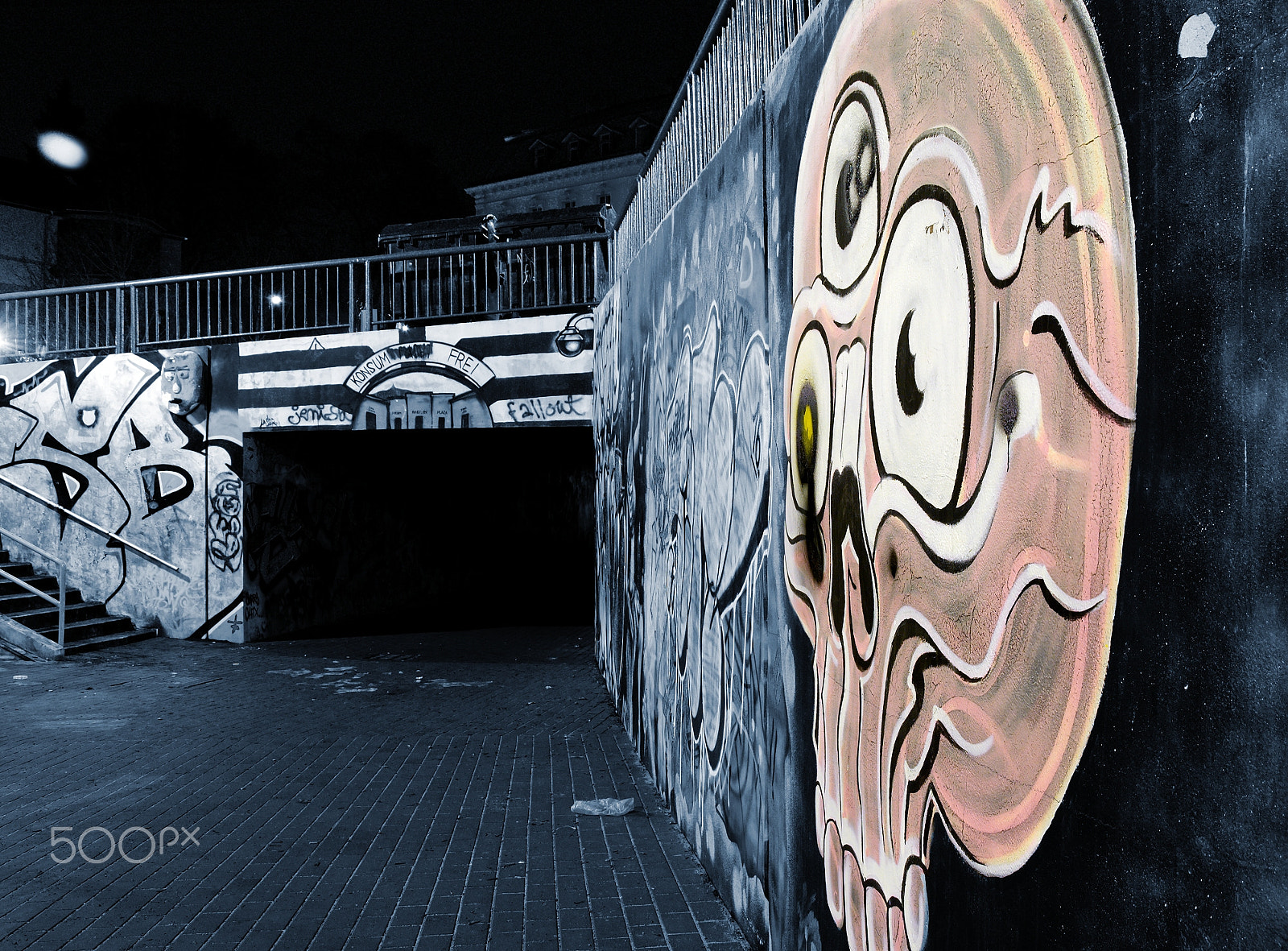 18.00 - 105.00 mm f/3.5 - 5.6 sample photo. Skull photography