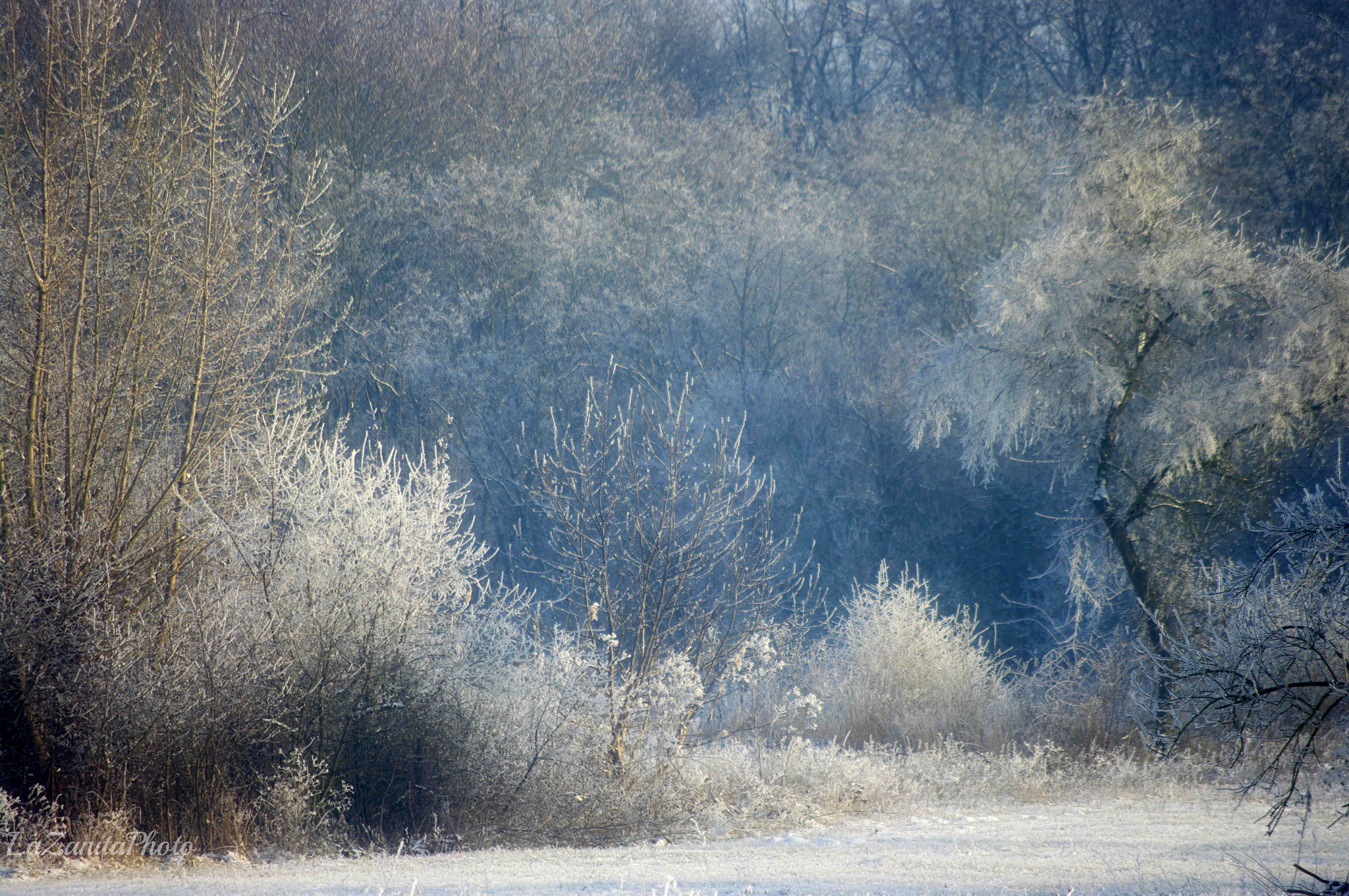 Pentax smc DA 50-200mm F4-5.6 ED WR sample photo. Winter behind the garden photography