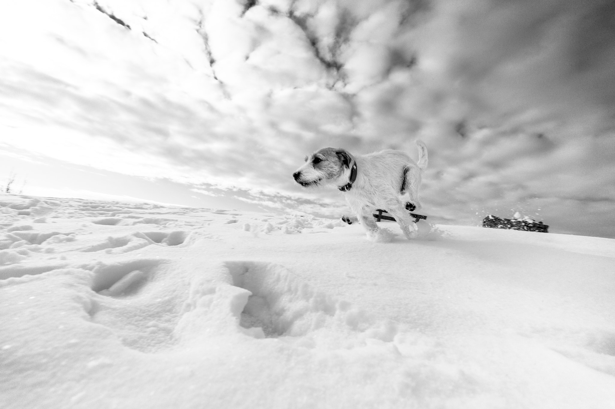 Leica Elmarit-M 21mm F2.8 ASPH sample photo. Snow fun :d photography