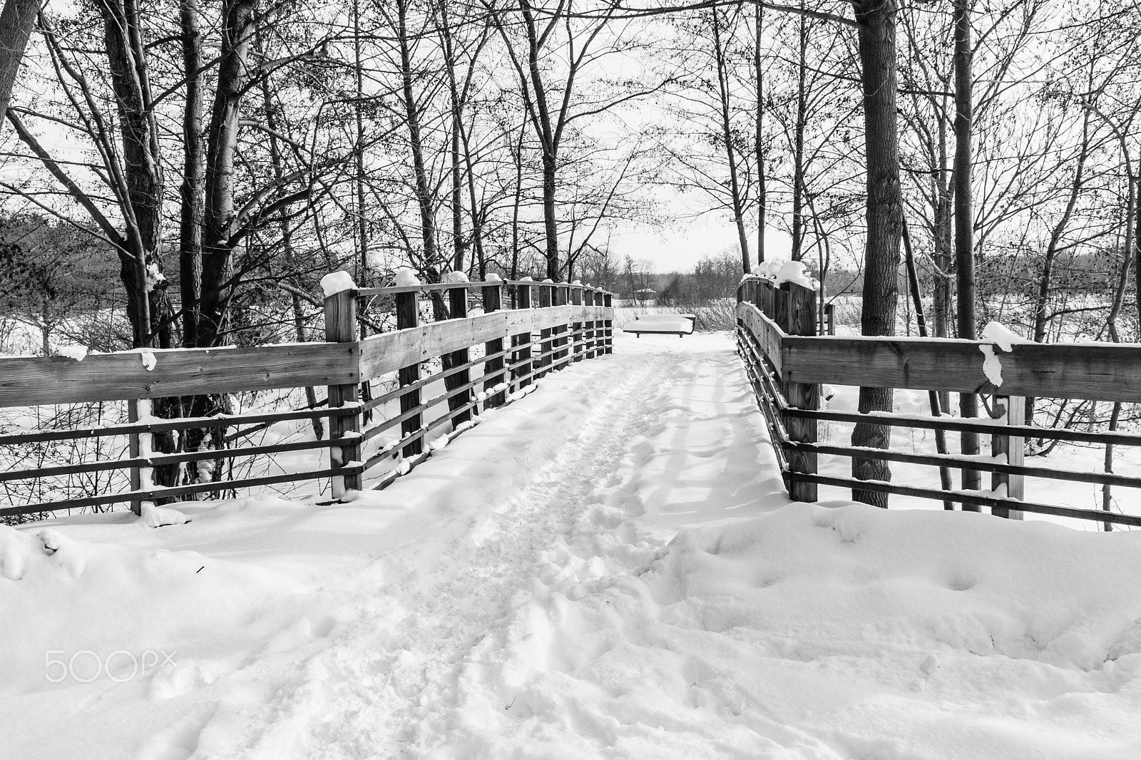 Canon EF 24mm F2.8 sample photo. After snow storm photography