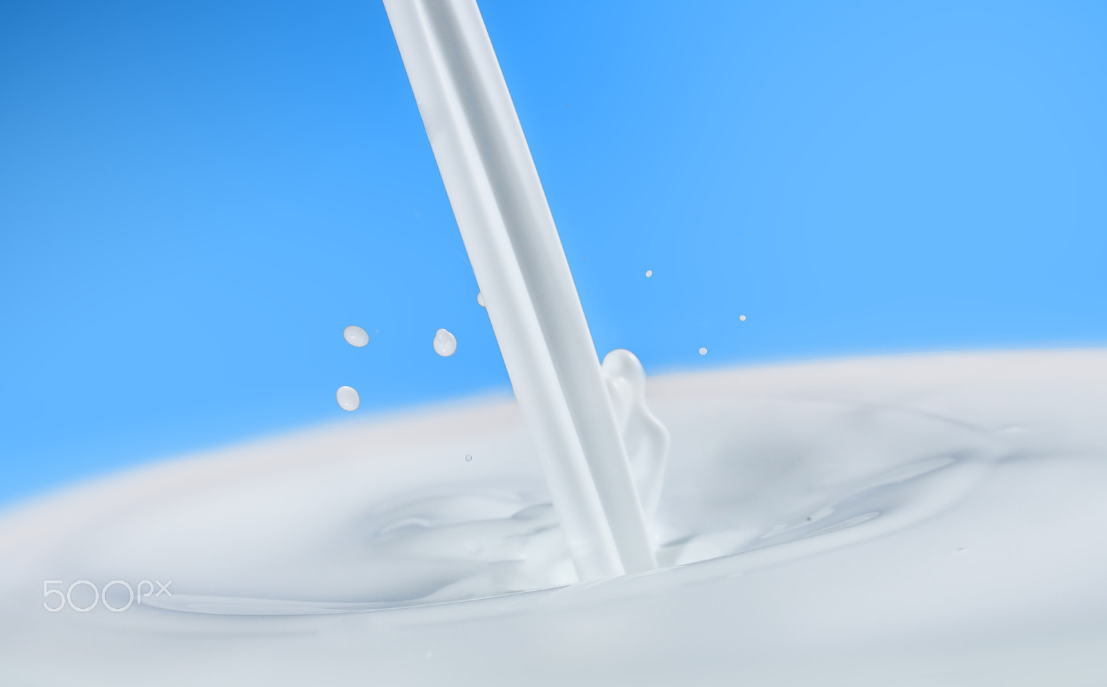 Hasselblad H5D-50 sample photo. Got milk? photography