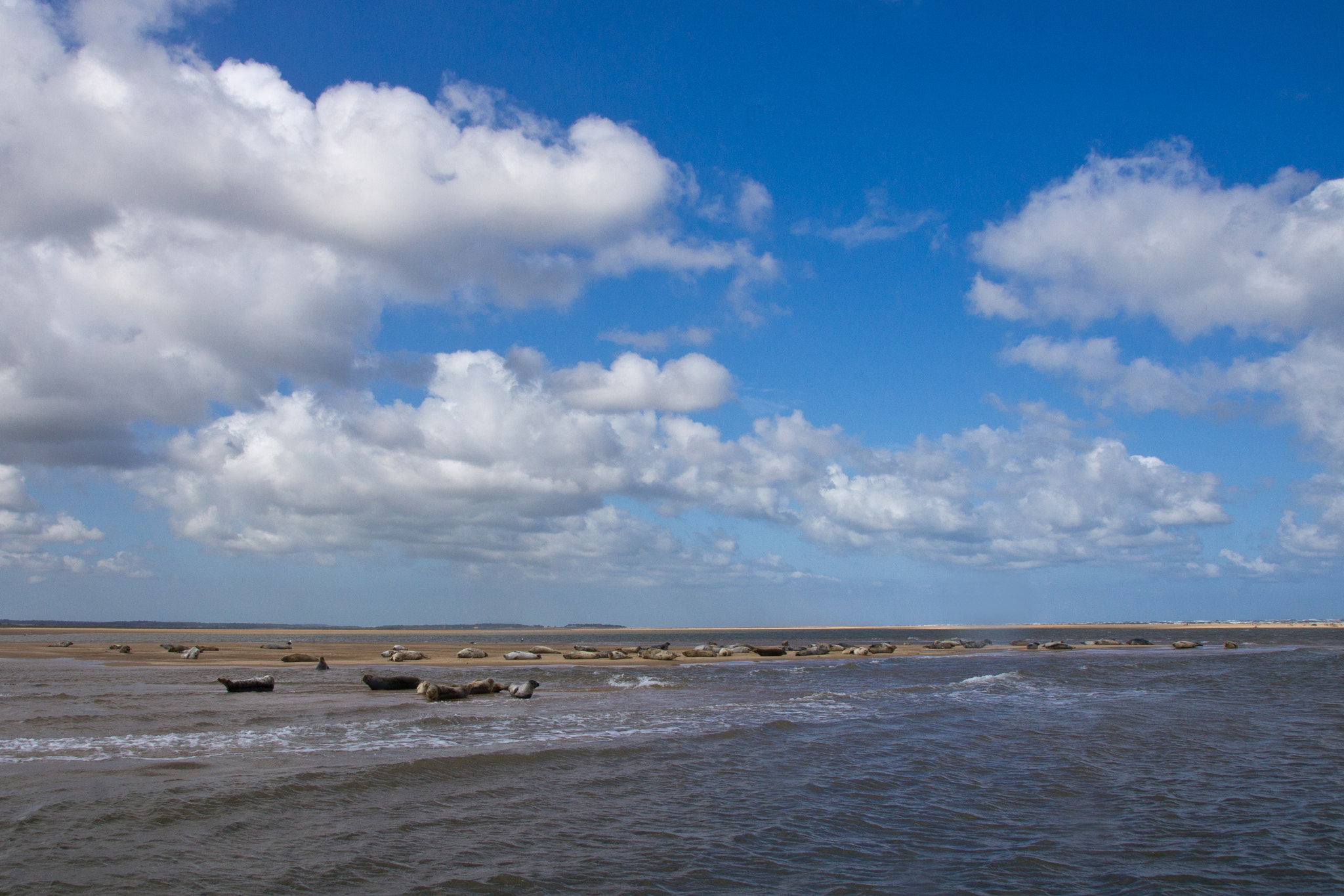 Sony Alpha DSLR-A500 + Tamron AF 28-105mm F4-5.6 [IF] sample photo. Blakeney point photography