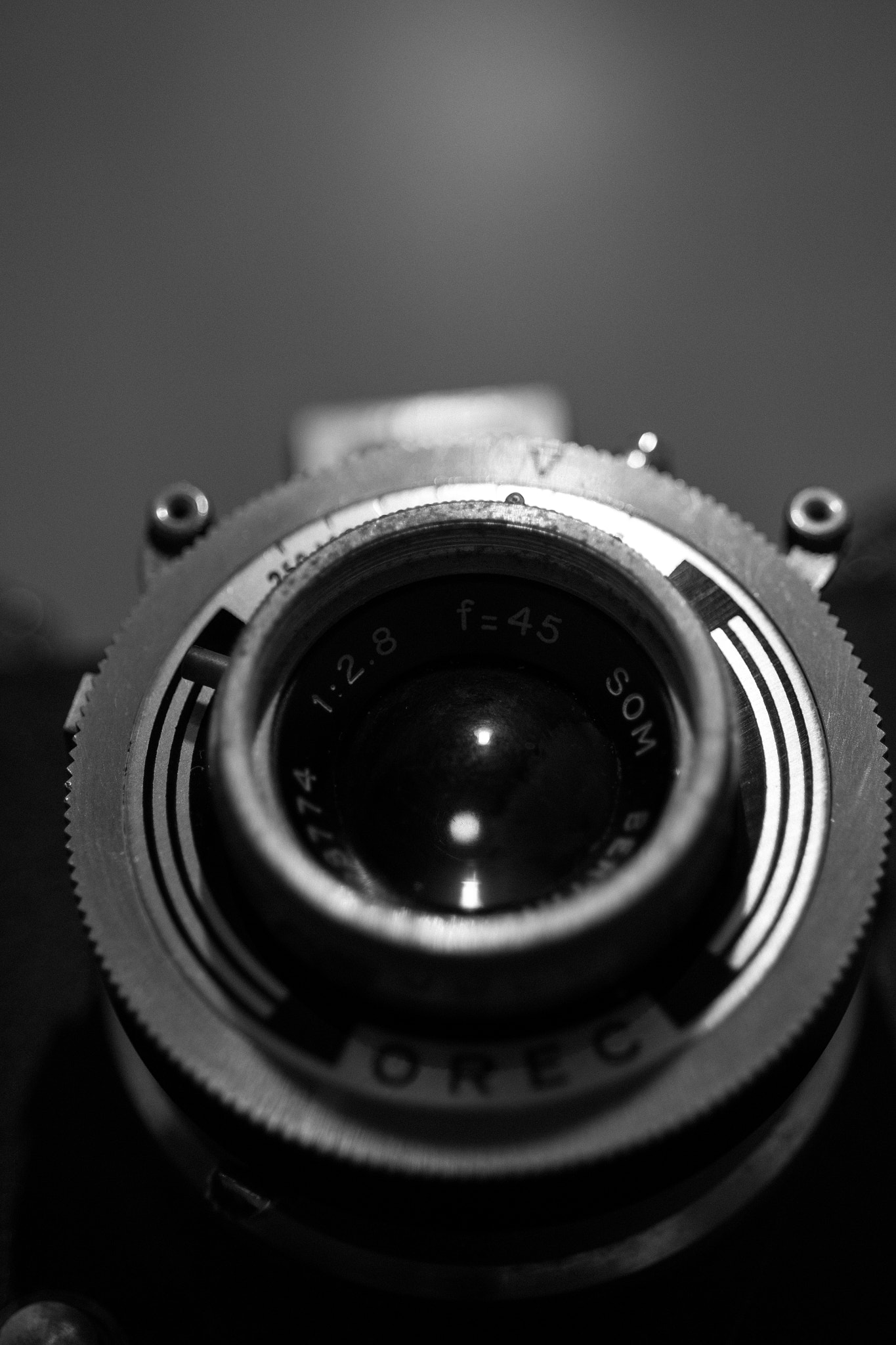 AF Micro-Nikkor 60mm f/2.8 sample photo. Let there be light photography