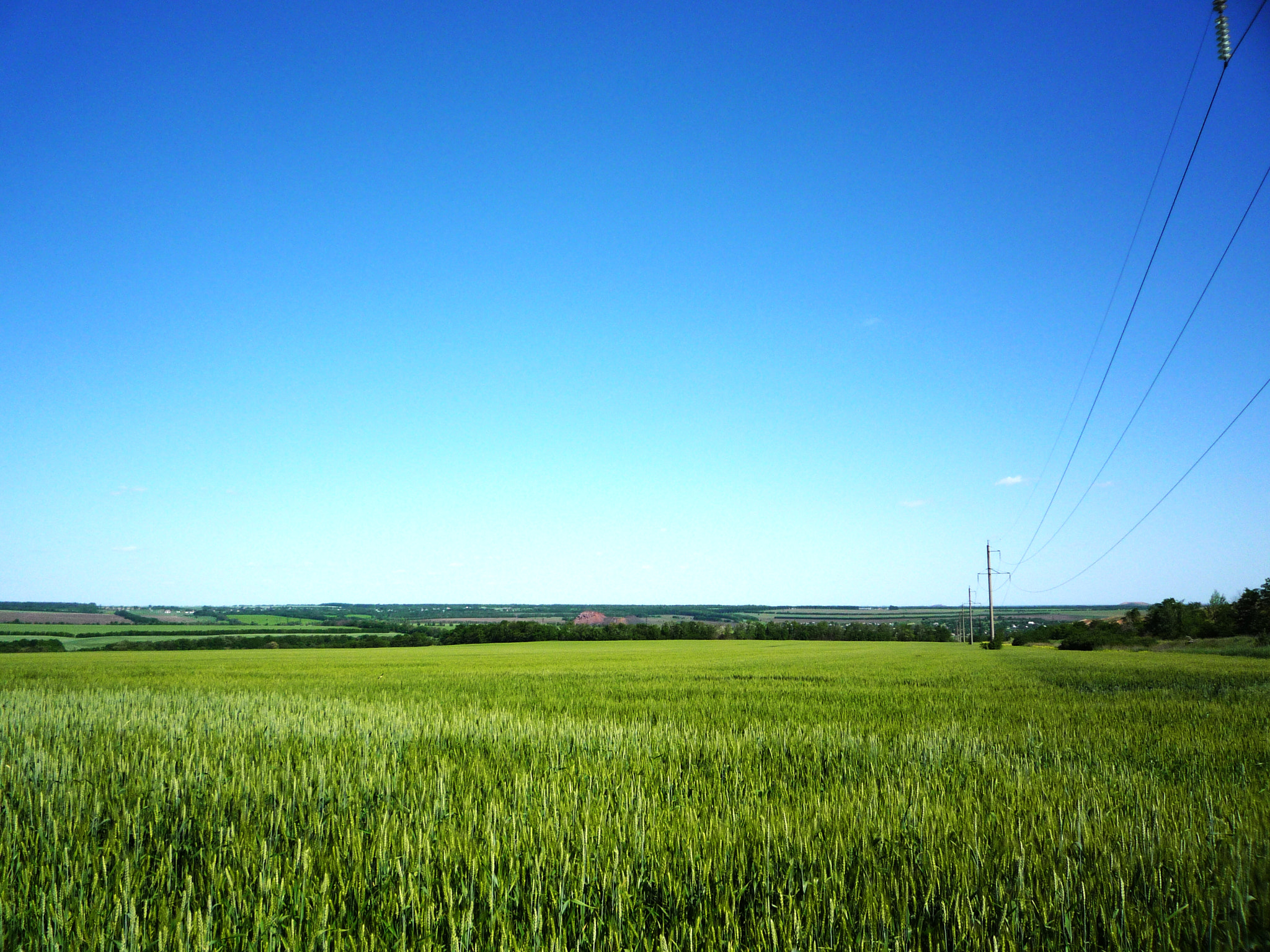 Panasonic DMC-LZ10 sample photo. Field grass & sky photography