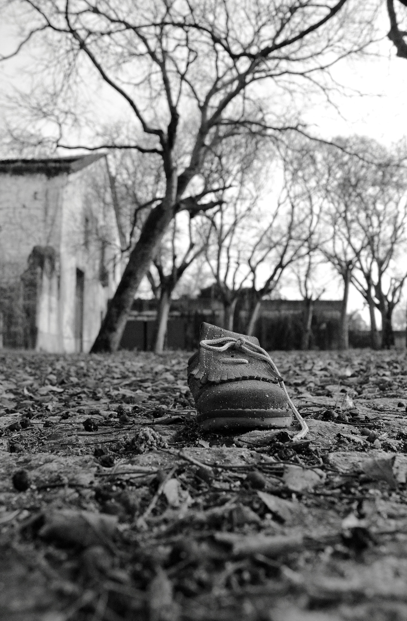 Canon EF-S 18-55mm F3.5-5.6 III sample photo. Lost steps photography