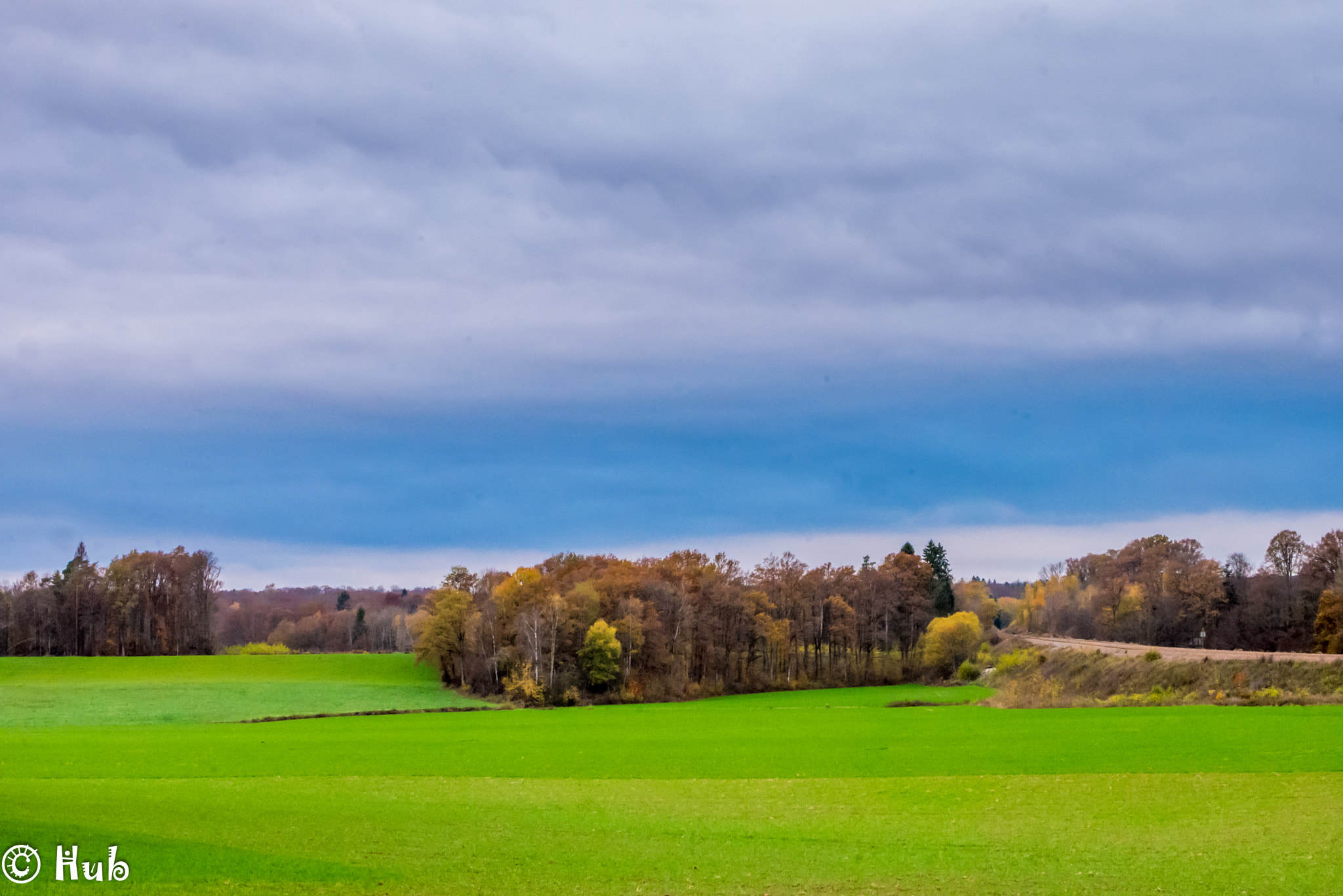 Panasonic Lumix G Macro 30mm F2.8 ASPH Mega OIS sample photo. Paysage sous la grisaille photography