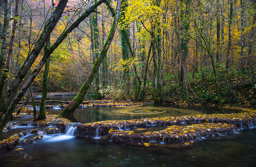 Sony a99 II + Minolta AF 28-70mm F2.8 G sample photo. Autumn river in french jura photography