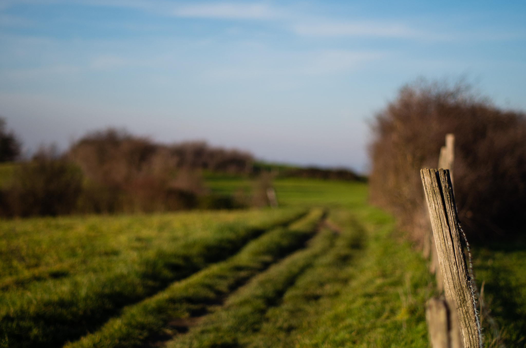 Pentax K-30 + A Series Lens sample photo. A path photography