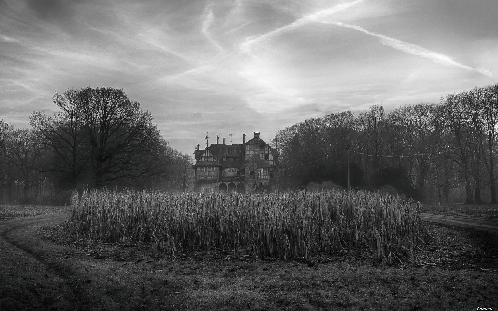 Olympus M.Zuiko Digital ED 14-42mm F3.5-5.6 sample photo. Abandoned castle in belgium photography