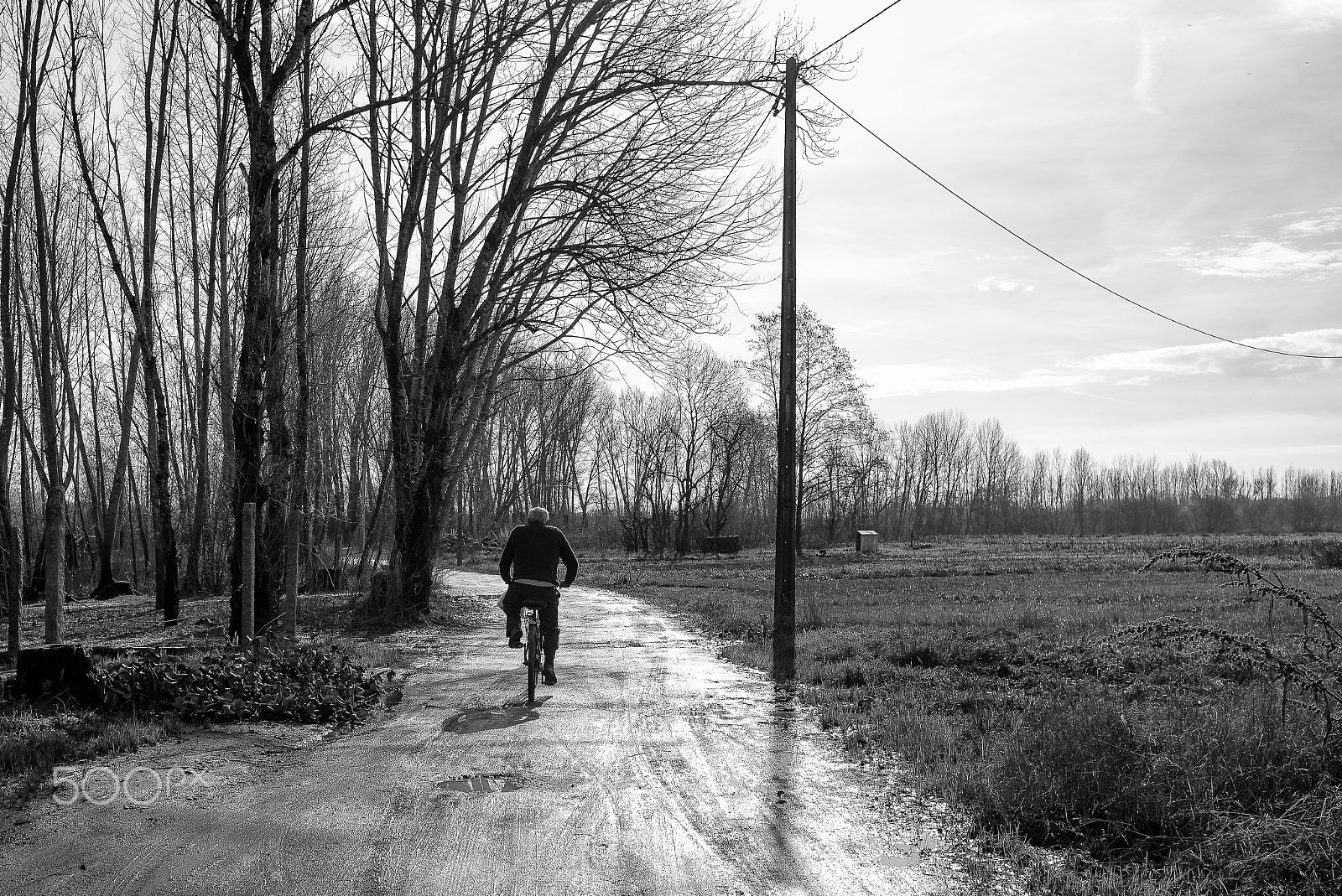 Elmarit-M 1:2.8/24 ASPH. sample photo. On his way home... photography