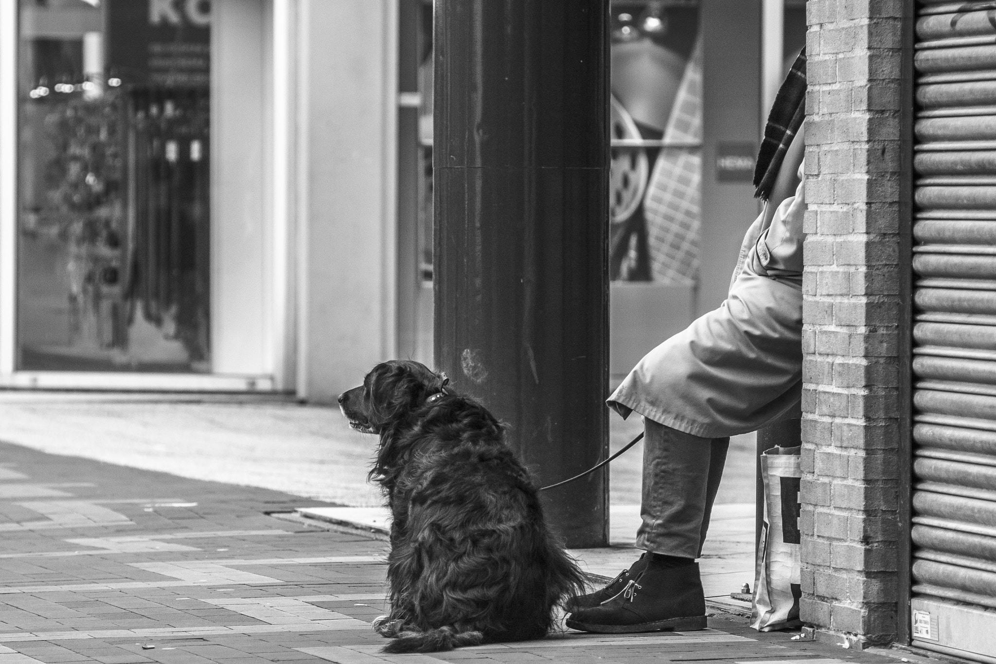 Canon EOS 40D + Canon EF 135mm F2.8 SF sample photo. Sitting, waiting,. photography