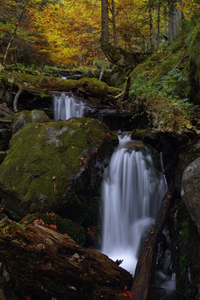 Sigma 18-125mm F3.8-5.6 DC OS HSM sample photo. Rincones photography