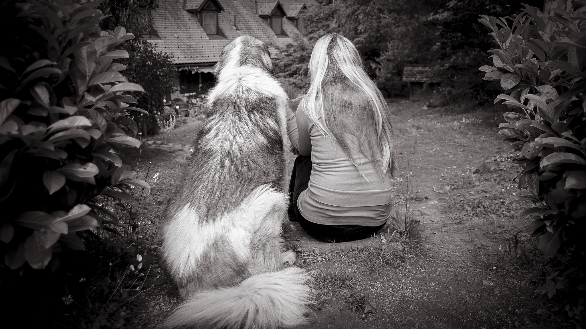 Nikon D600 sample photo. Best friends photography