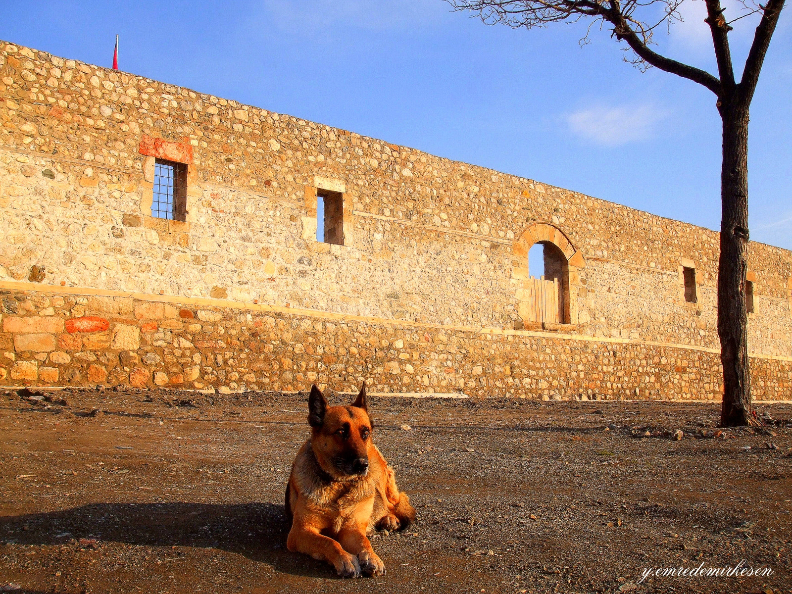 Fujifilm FinePix A900 sample photo. Bekçi............ photography