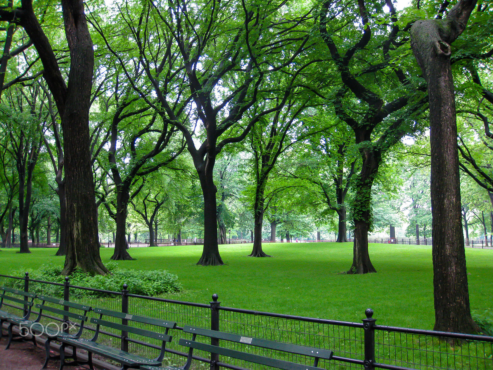 Canon PowerShot SD890 IS (Digital IXUS 970 IS / IXY Digital 820 IS) sample photo. Park not parking lot photography