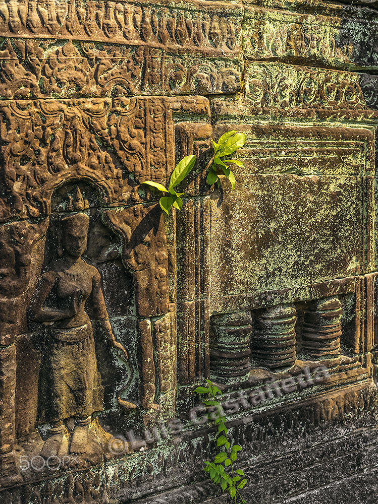 Pentax 645D sample photo. Banteay prei. angkor. cambodia photography