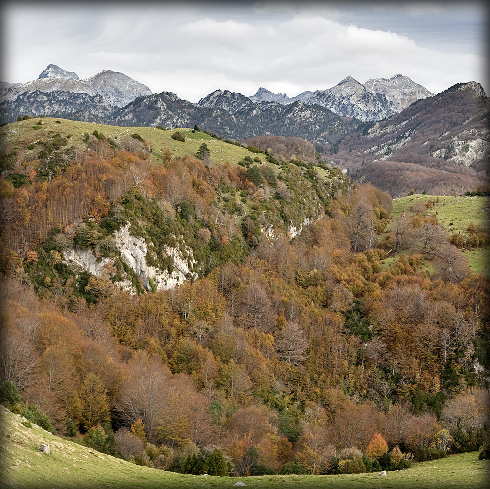 Canon EOS-1Ds Mark III + Canon EF 50mm F1.8 II sample photo. Pirineo navarro photography