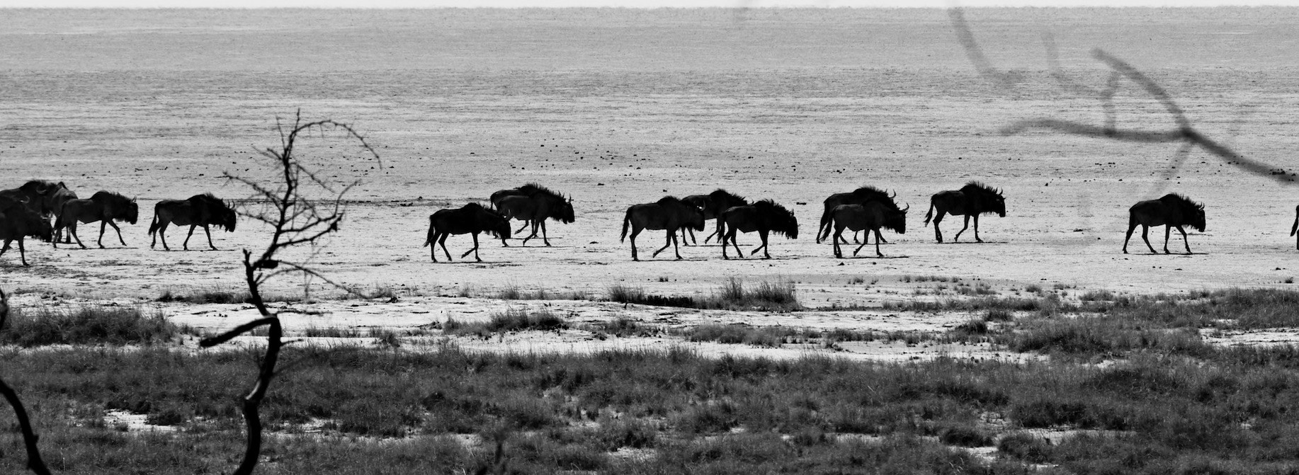 Panasonic Lumix DMC-GH3 sample photo. Africa 7 photography
