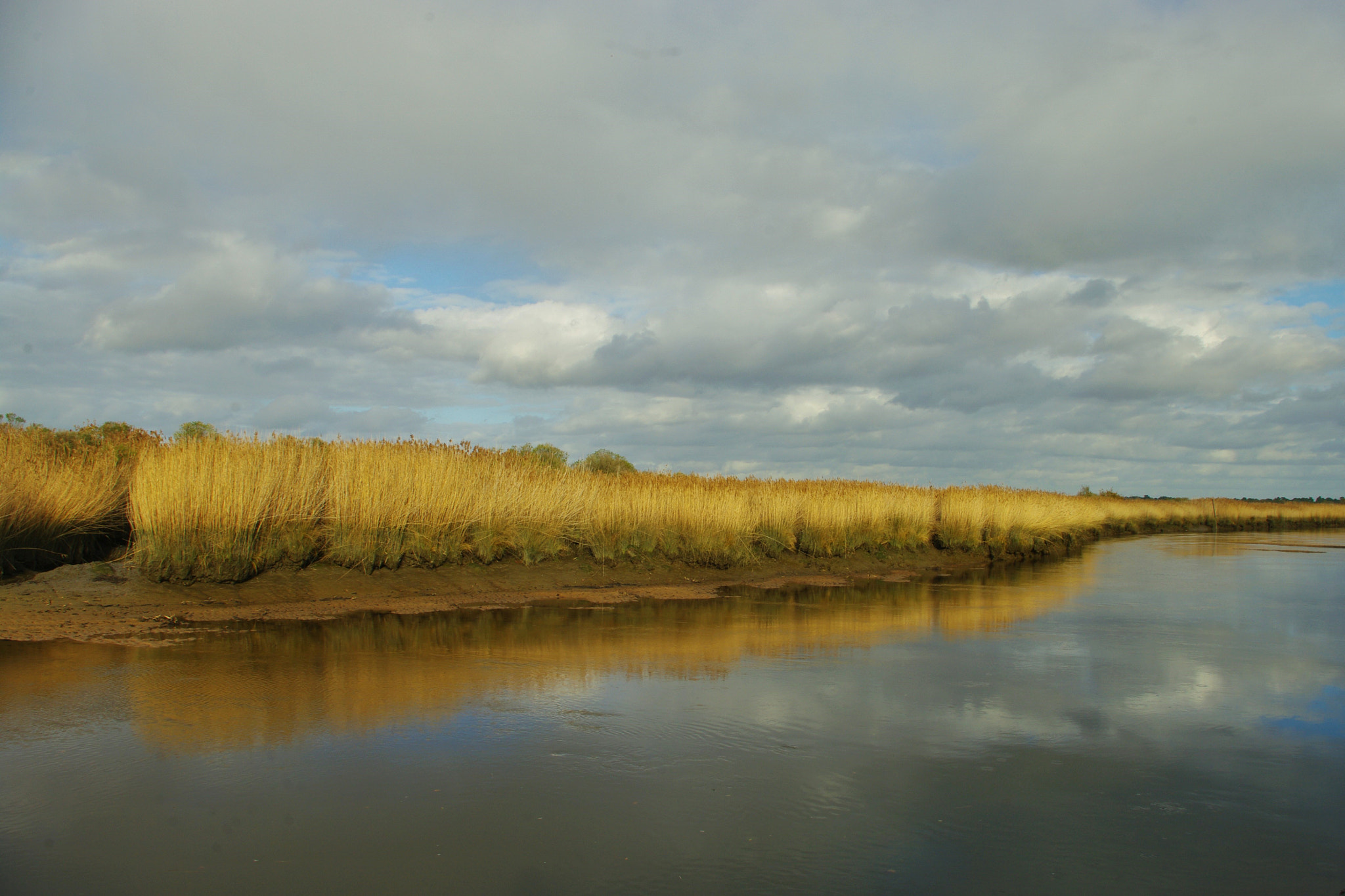Samsung/Schneider D-XENON 18-55mm F3.5-5.6 sample photo. Le teich, france photography