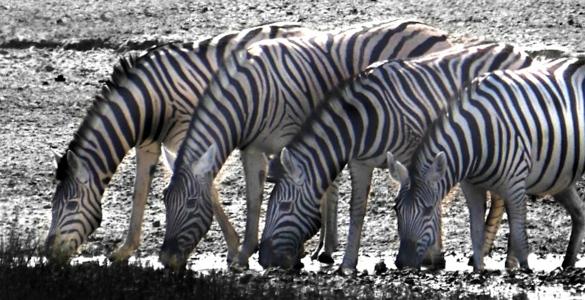 Panasonic Lumix DMC-GH3 sample photo. Africa 13 photography