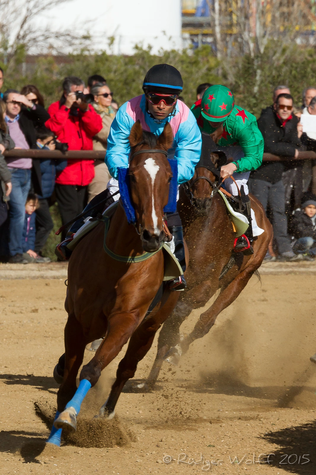 Canon EF 70-200mm F4L IS USM sample photo. Horse-race, vila-seca, spain photography