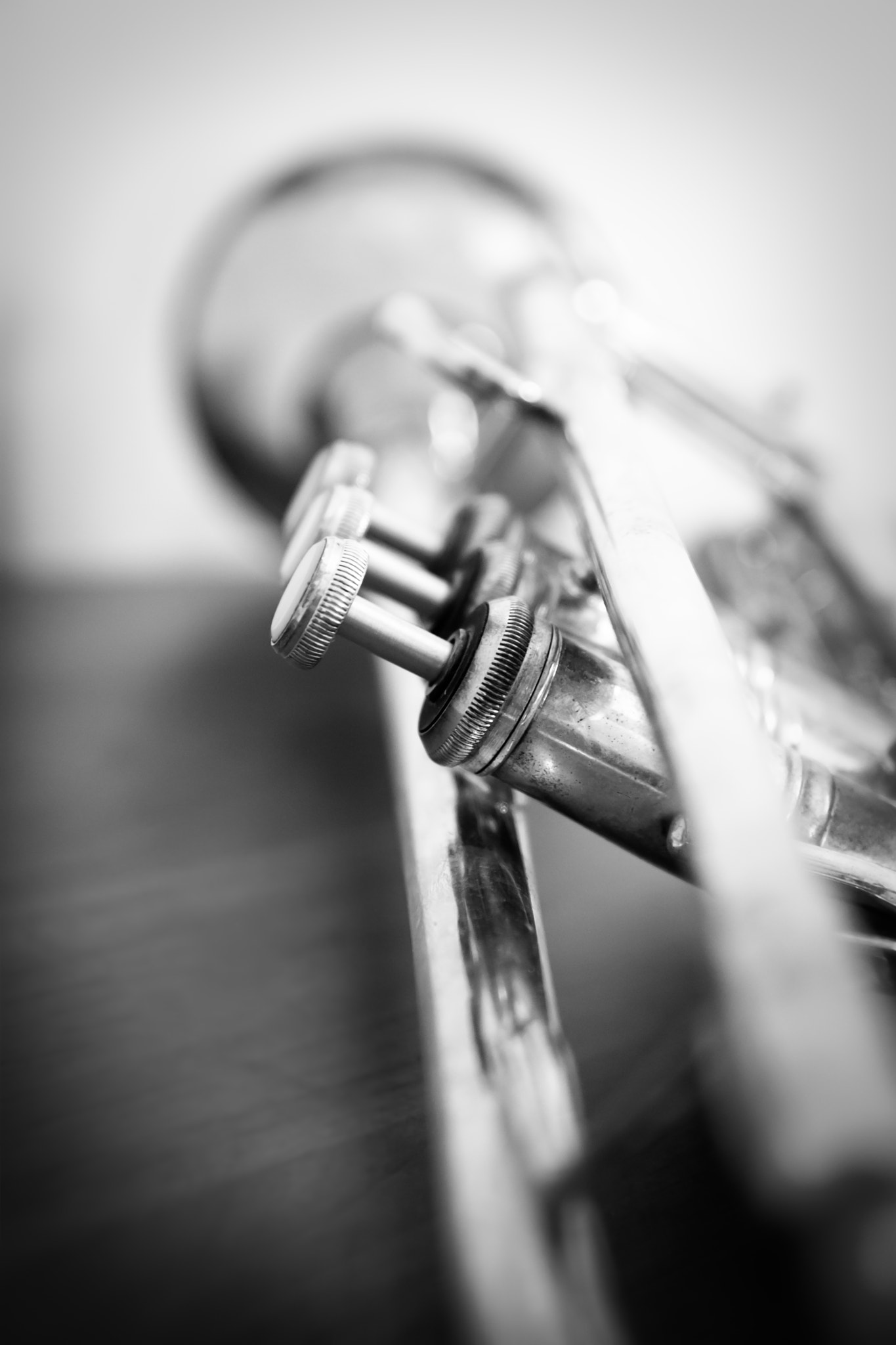 Canon EOS 500D (EOS Rebel T1i / EOS Kiss X3) sample photo. Trumpet photography