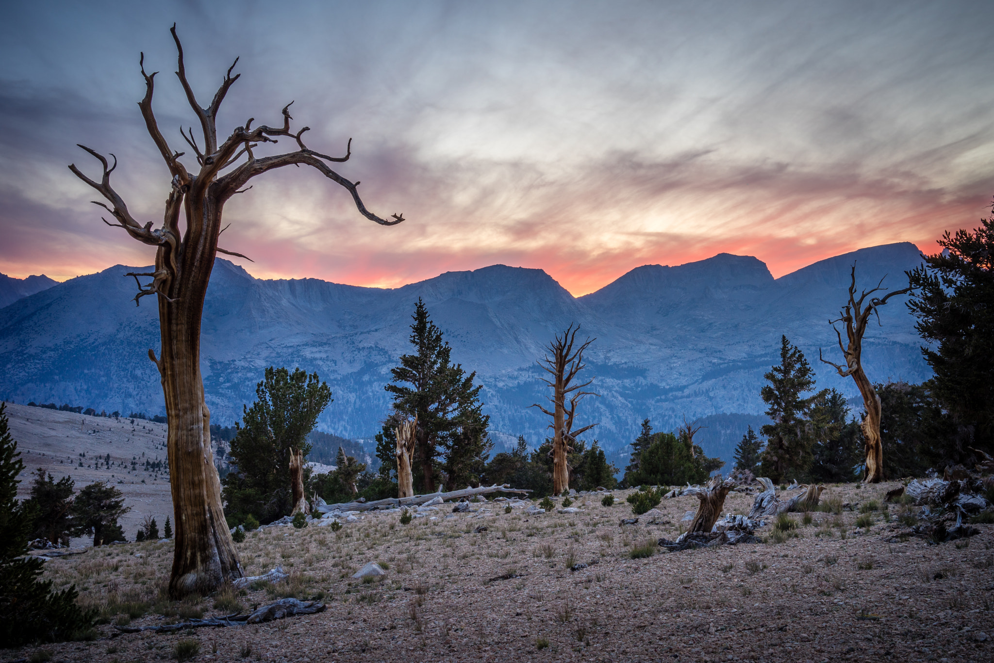 v2?sig=f6f2b44551827dee0f0366bd873b4e0d2d93399380f01bf4083afb2ac56ecb0f