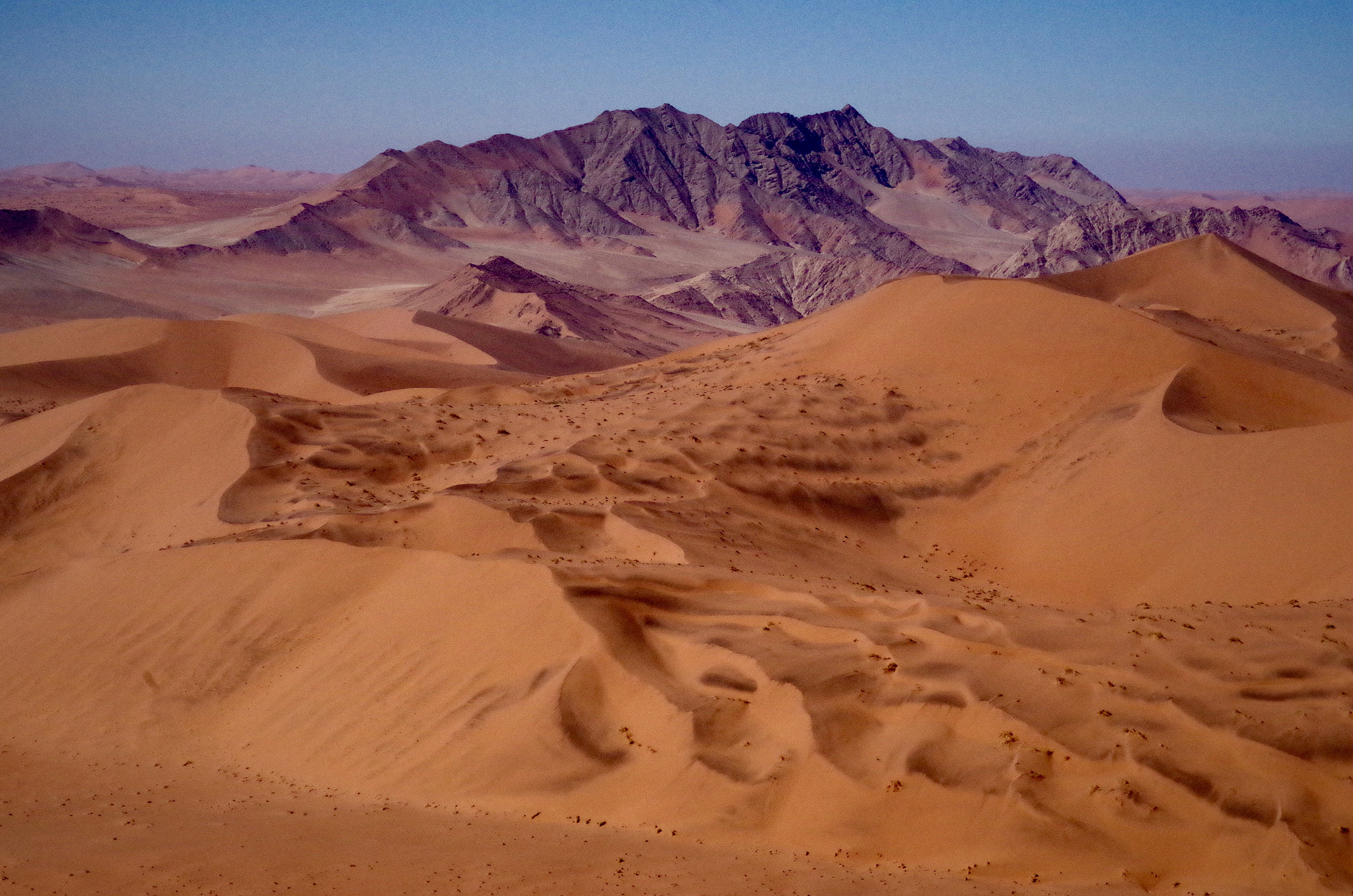 Pentax K-30 + HD Pentax DA 70mm F2.4 AL Limited sample photo. Life under the namibian sun. photography