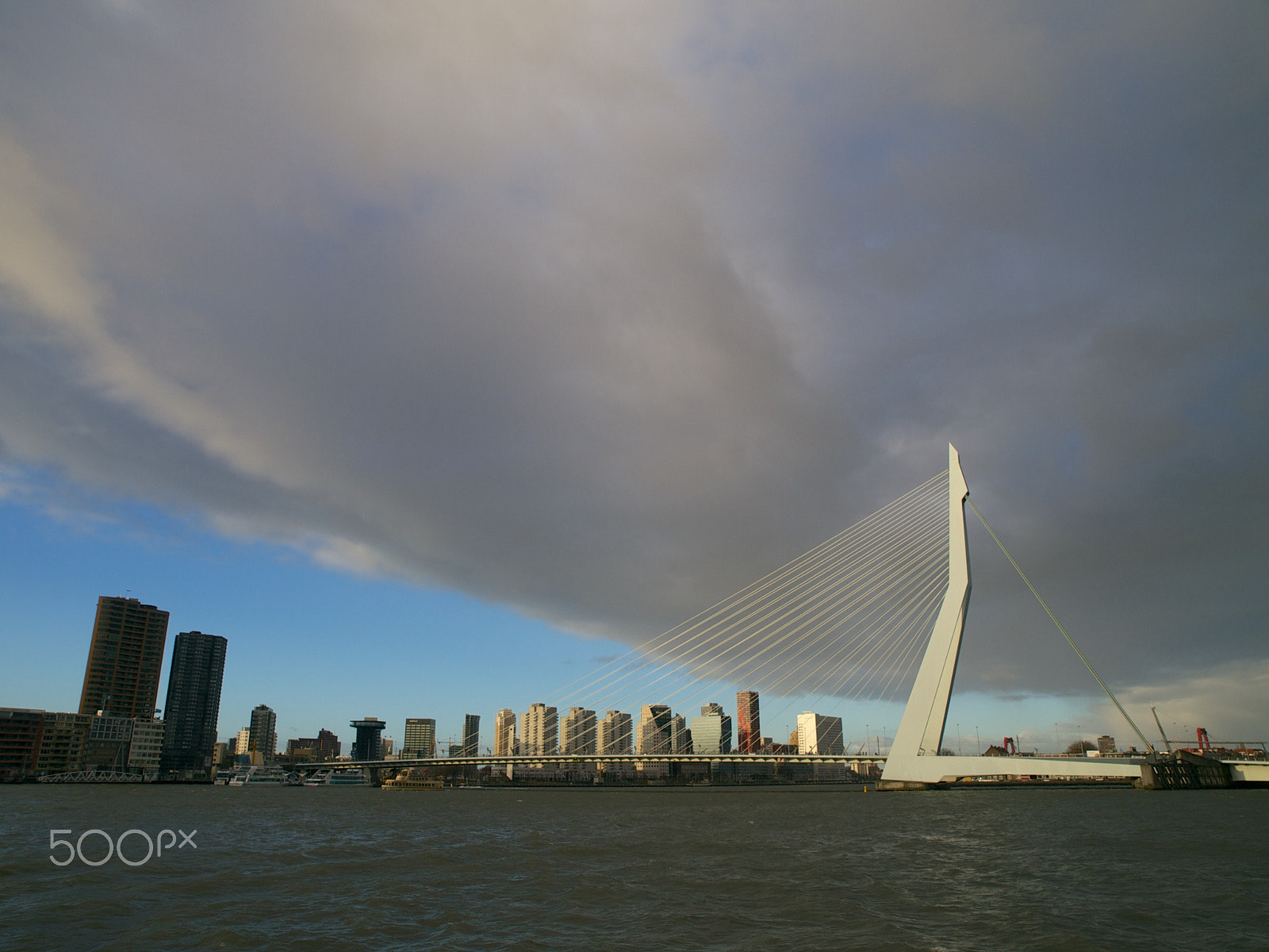 Olympus E-3 + Olympus Zuiko Digital ED 12-60mm F2.8-4.0 SWD sample photo. Rotterdam 'swan bridge' photography