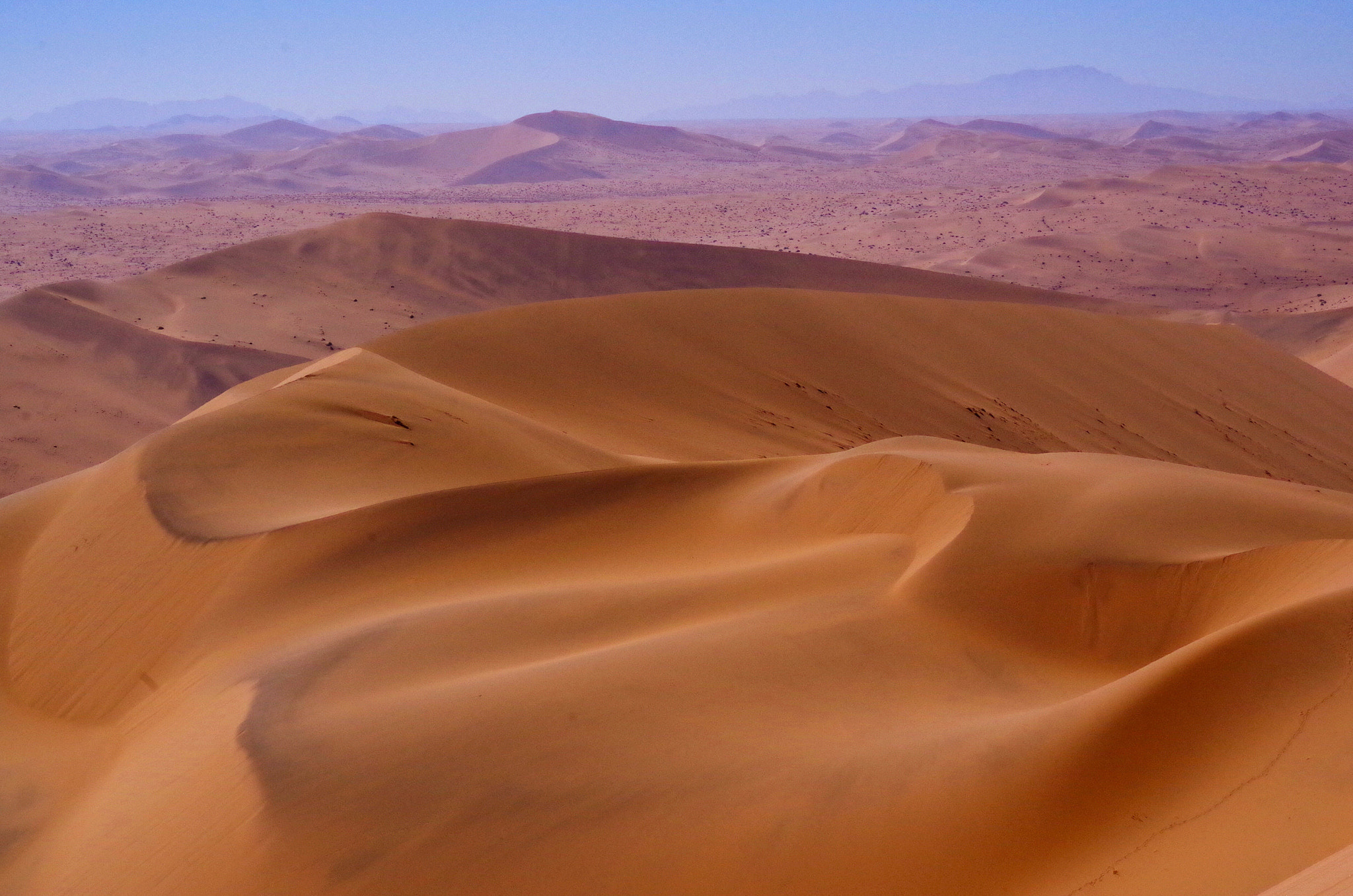 Pentax K-30 + HD Pentax DA 70mm F2.4 AL Limited sample photo. Life under the namibian sun. photography