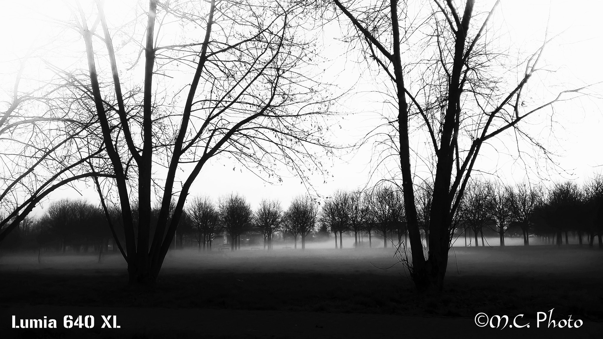 Microsoft Lumia 640 XL sample photo. Fog photography