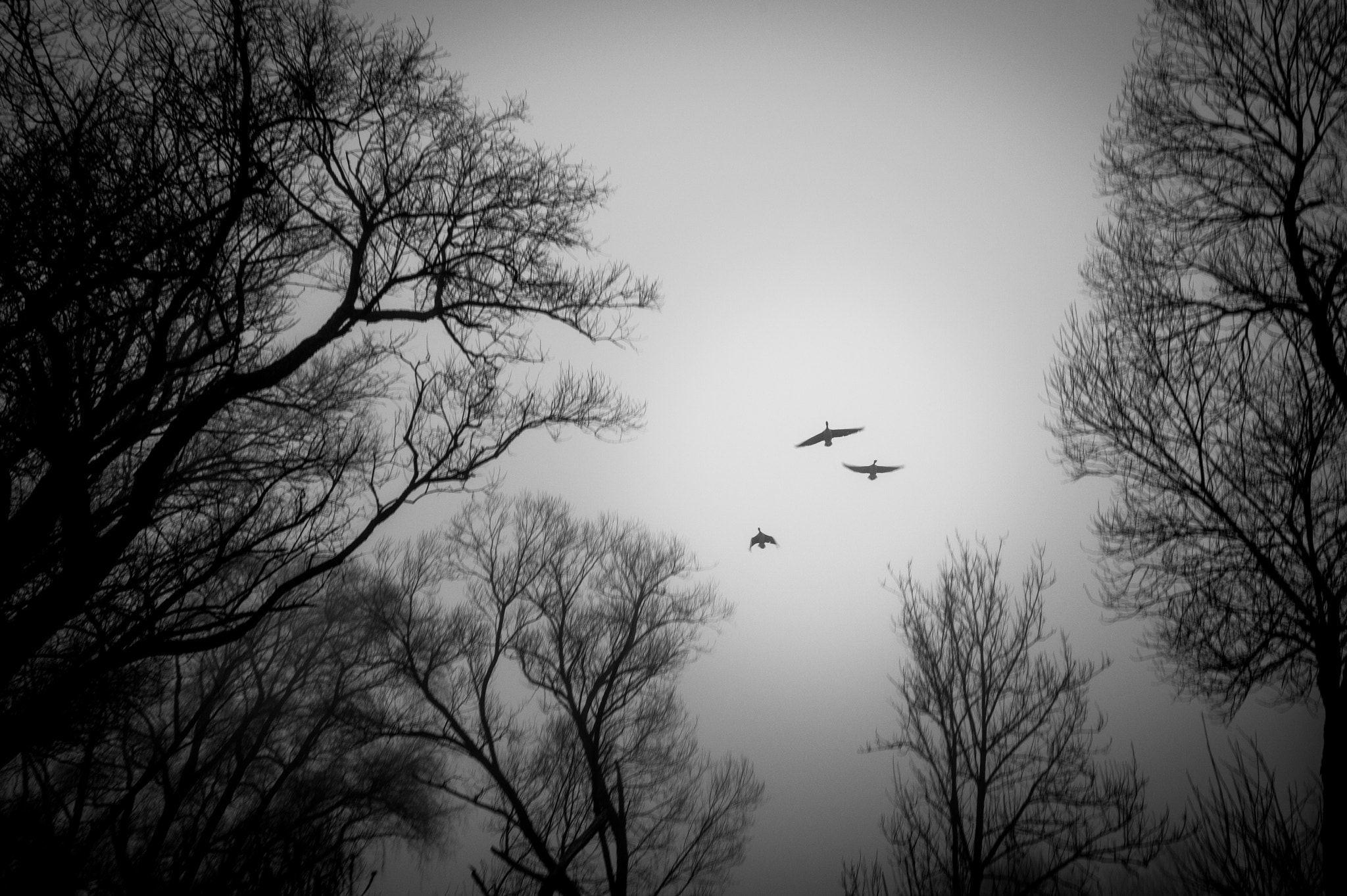 Leica M9 + Leica Elmarit-M 21mm F2.8 ASPH sample photo. ... photography