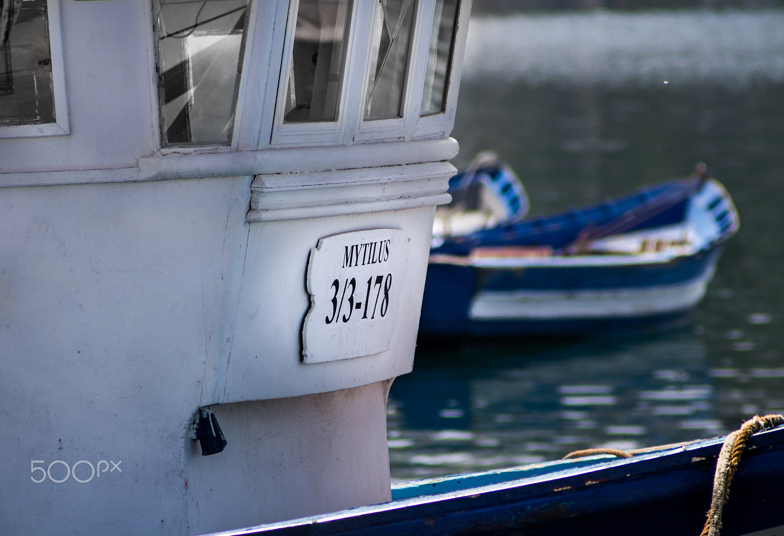 Canon EF 70-210mm f/3.5-4.5 USM sample photo. Mytilus photography