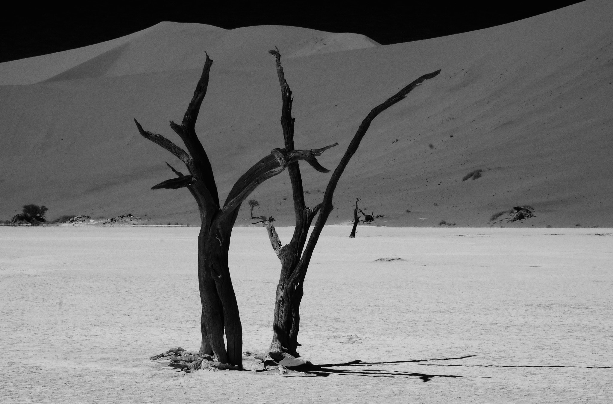 HD Pentax DA 70mm F2.4 AL Limited sample photo. When the earth stood still. photography