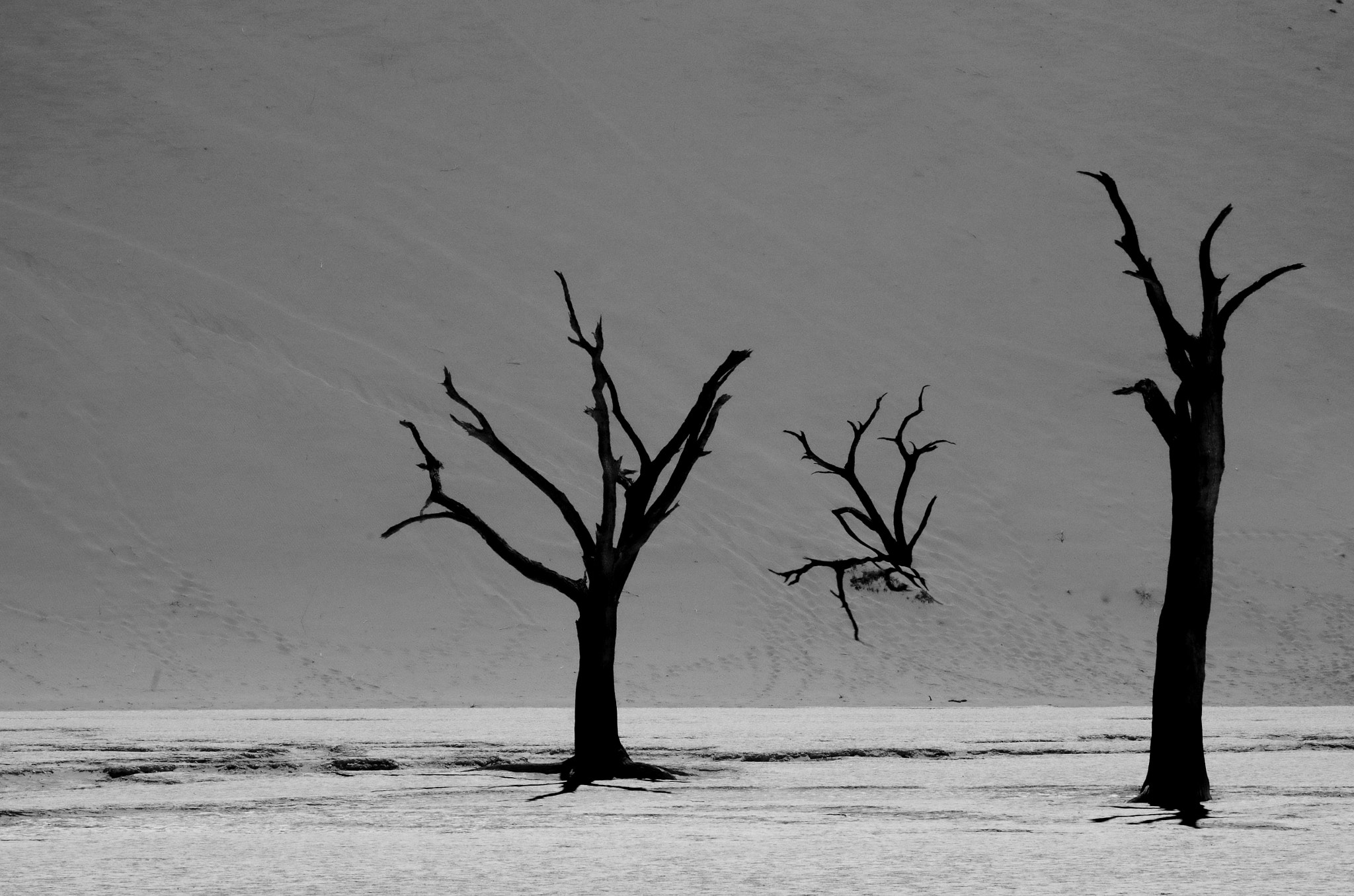 Pentax K-30 + HD Pentax DA 70mm F2.4 AL Limited sample photo. When the earth stood still. photography