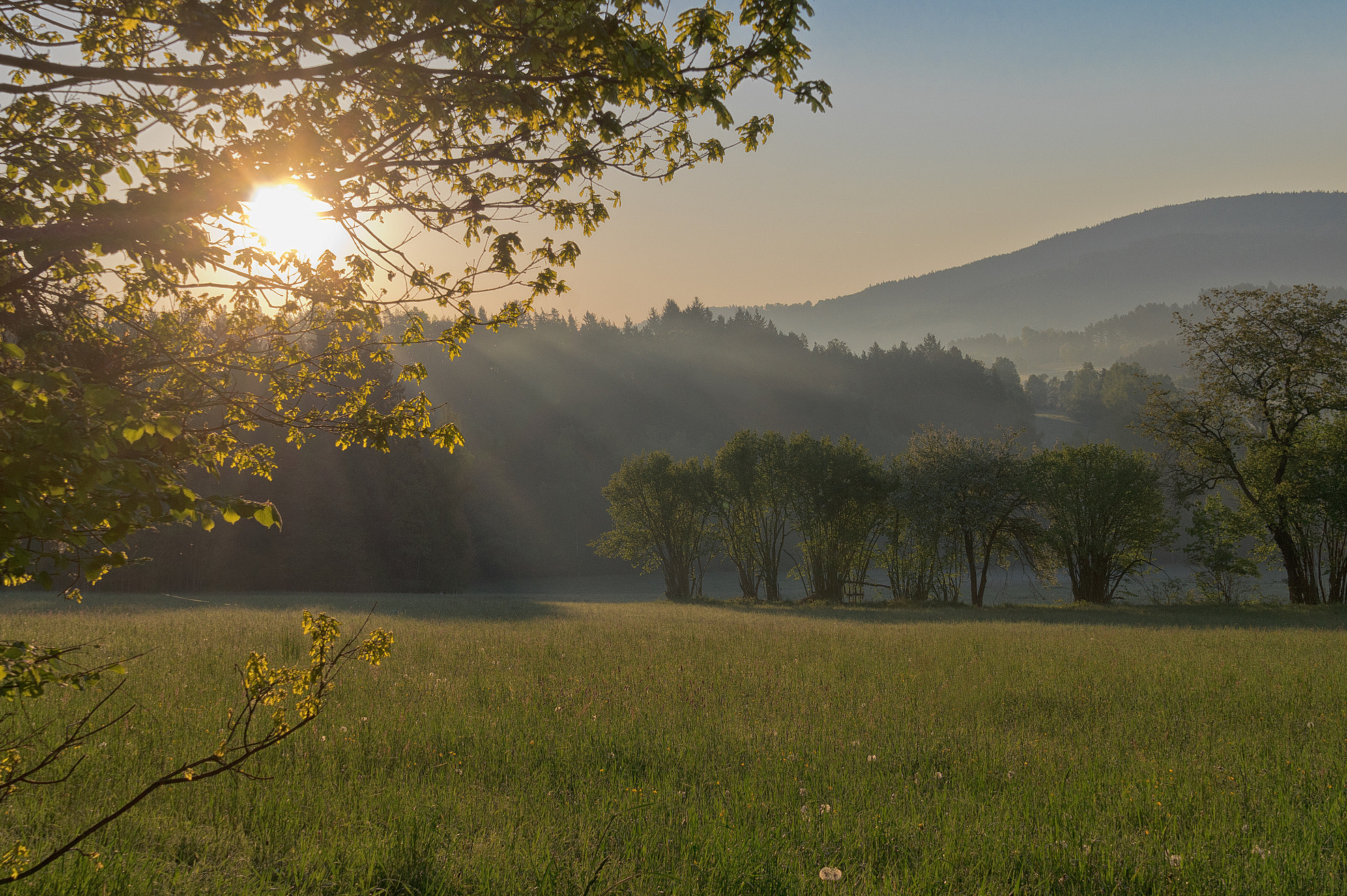 Pentax K-3 sample photo. Jako inteligentní objekt photography