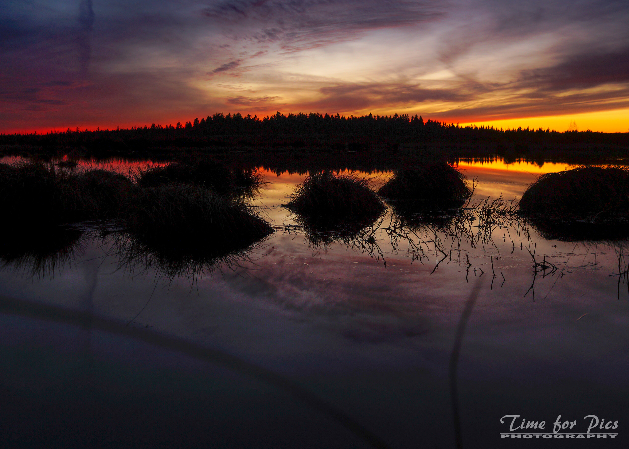 Sony SLT-A58 + Sony 28mm F2.8 sample photo. Golden hour photography