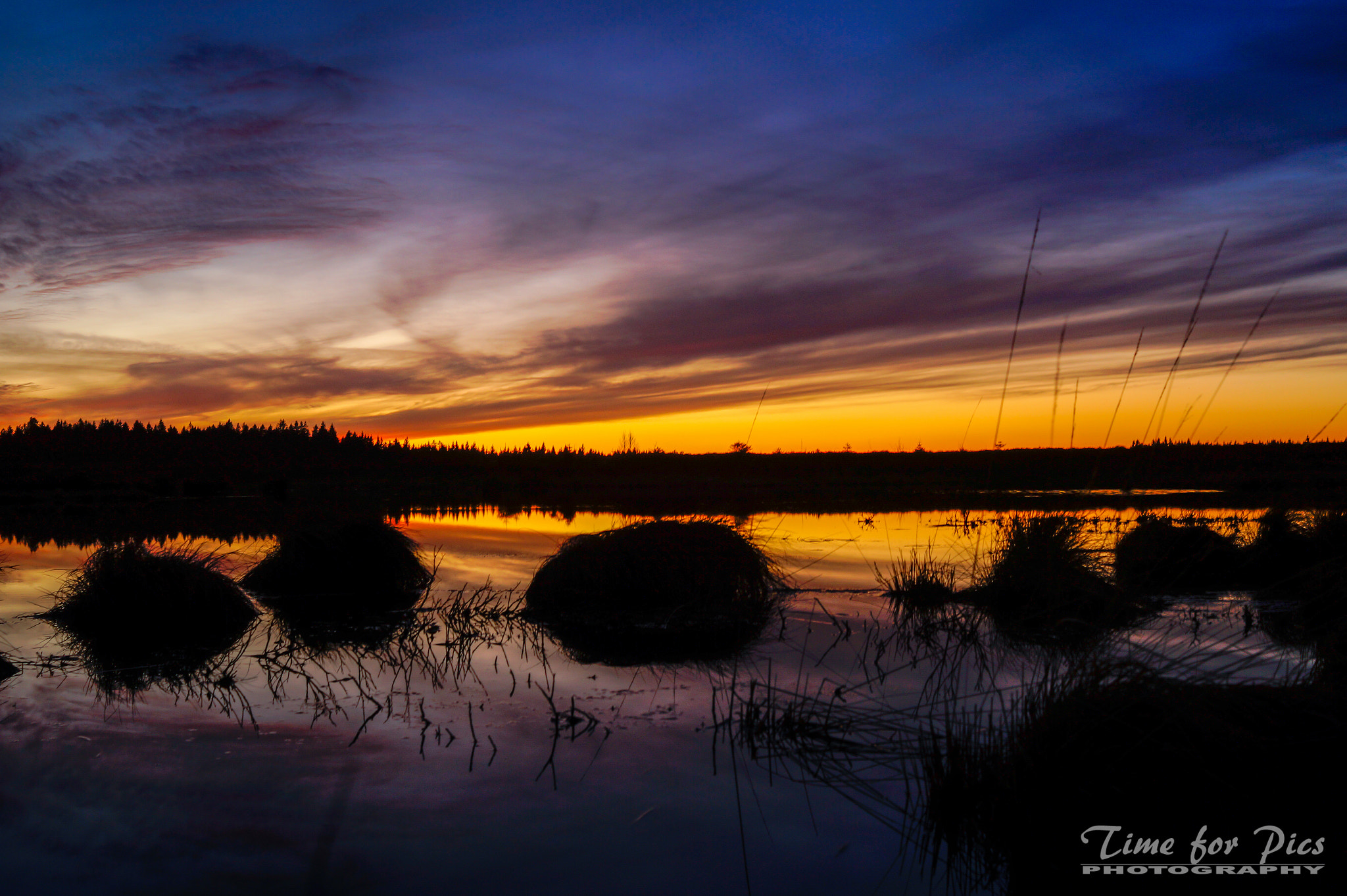 Sony SLT-A58 + Sony 28mm F2.8 sample photo. Golden hour photography