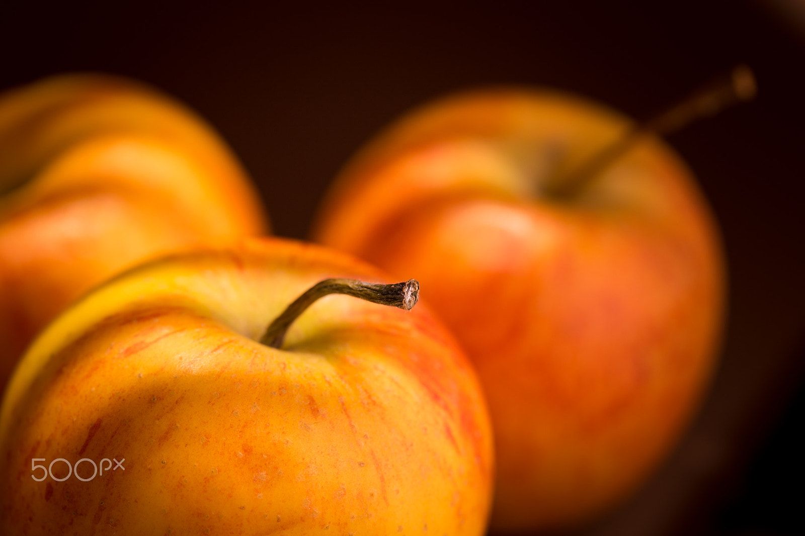Canon EOS 6D + Canon EF 100mm F2.8 Macro USM sample photo. Just apple stalks photography