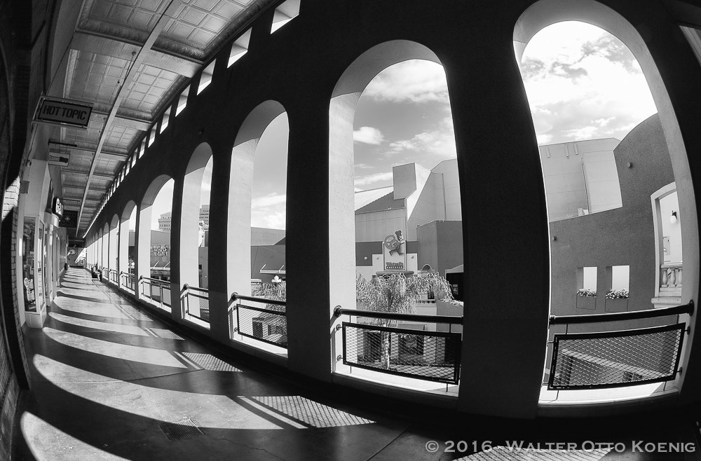 Nikon AF DX Fisheye-Nikkor 10.5mm F2.8G ED sample photo. Horton plaza 1 photography
