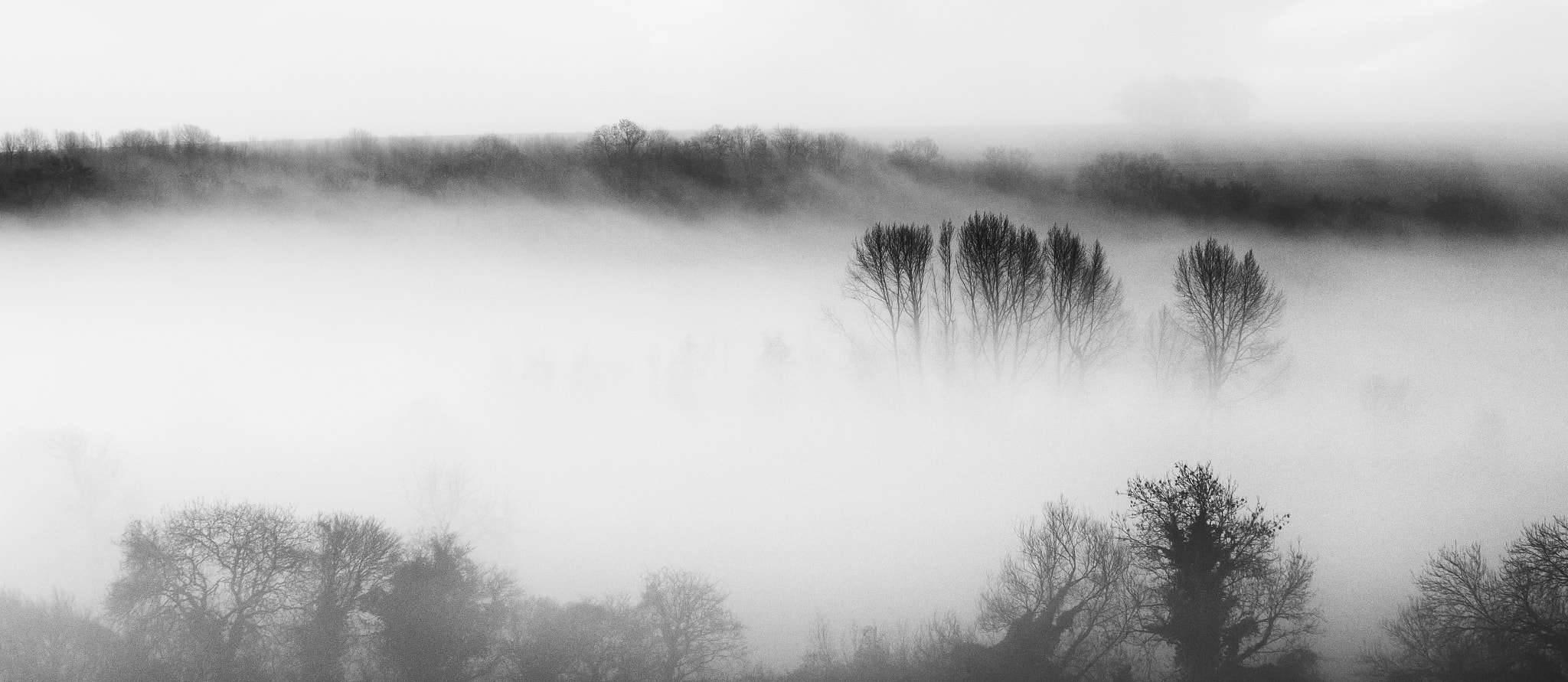 Canon EF 35-350mm F3.5-5.6L USM sample photo. Morning mist photography