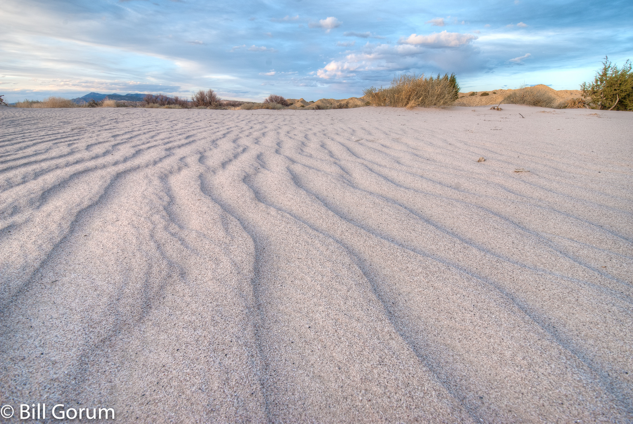 Nikon D200 sample photo. Dry wash in the ojito wilderness, new mexico. photography