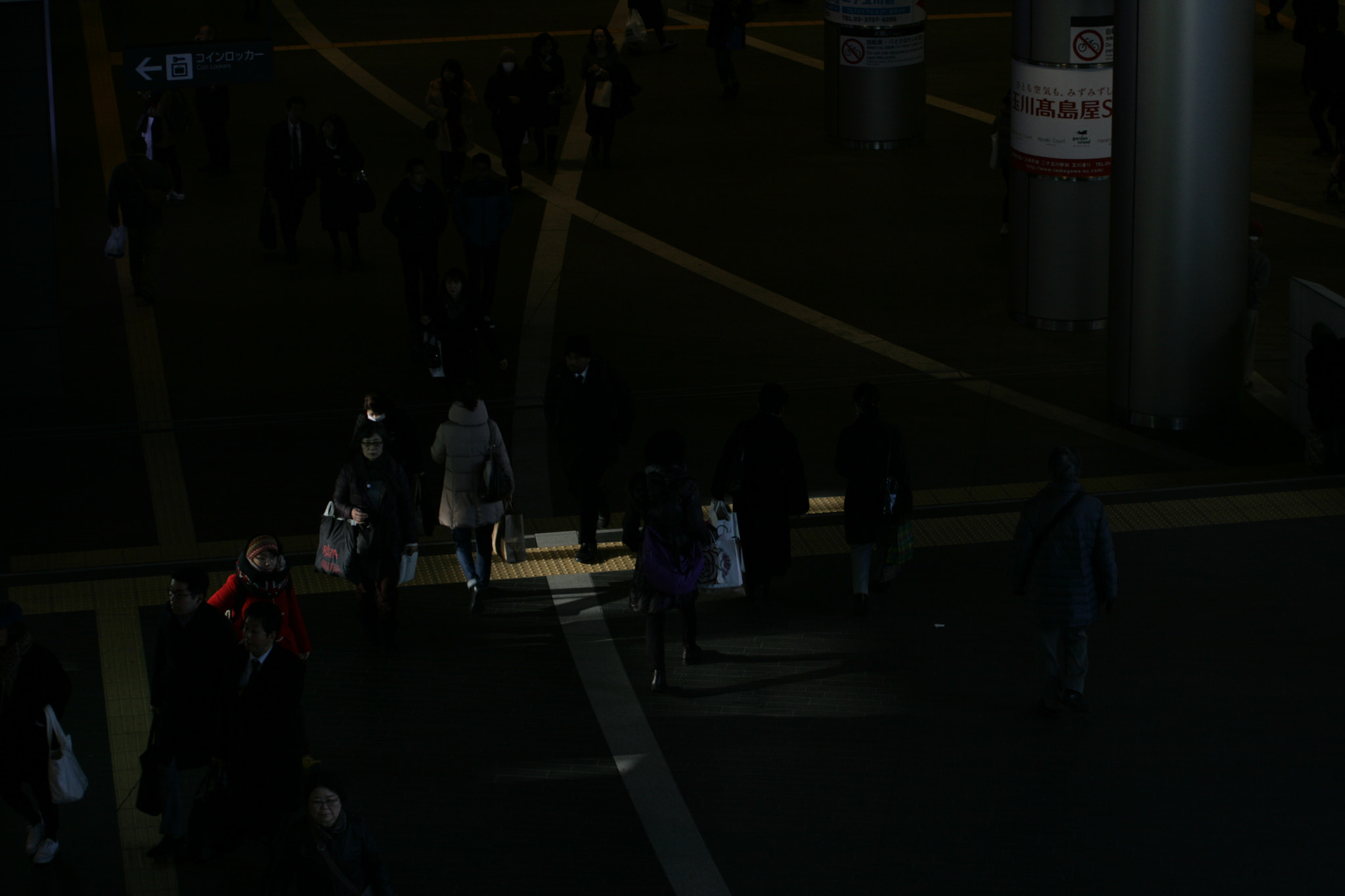 Canon EF 55-200mm F4.5-5.6 II USM sample photo. Pussing photography
