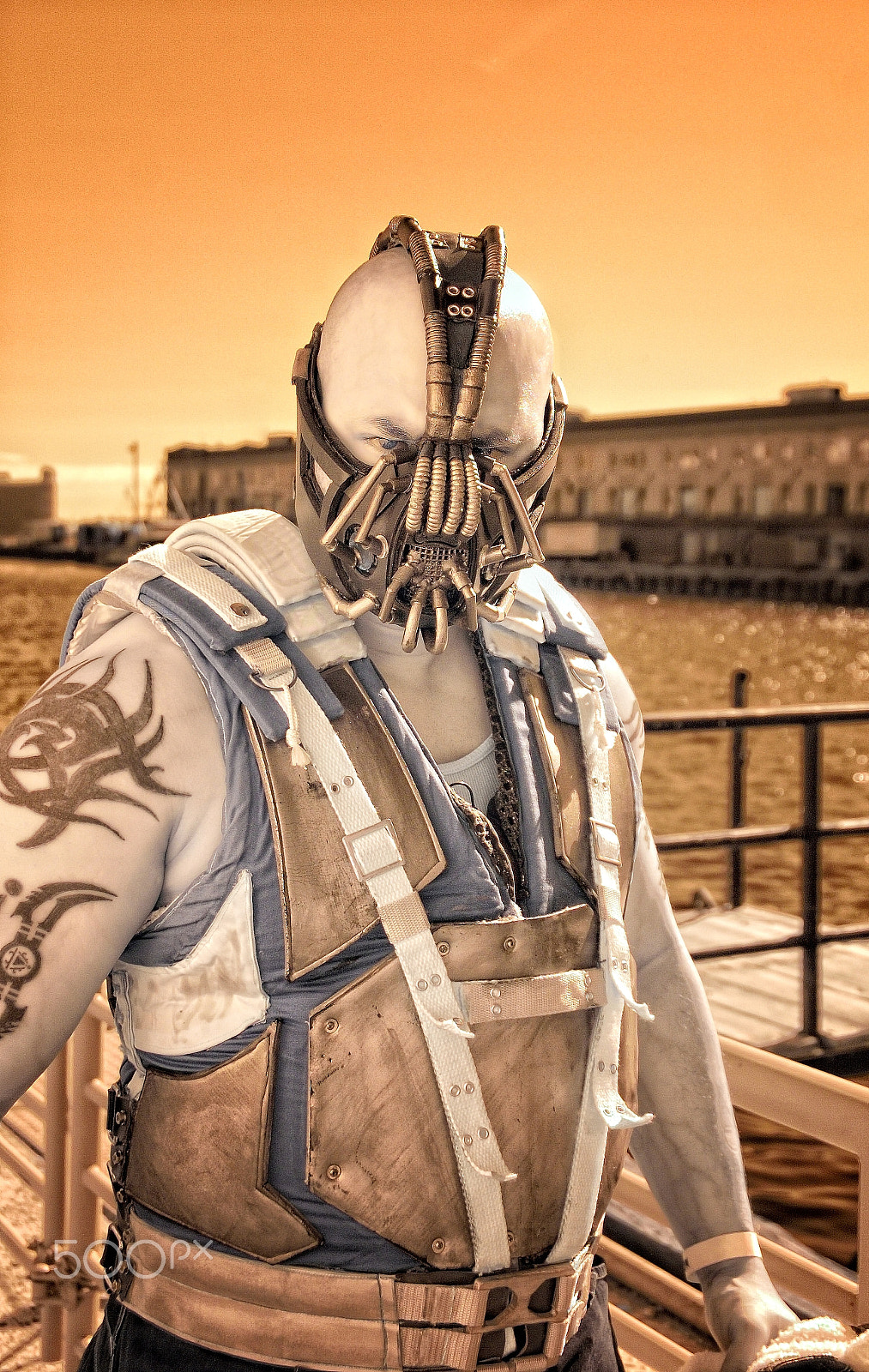 Nikon D70s sample photo. Apocalypto photography