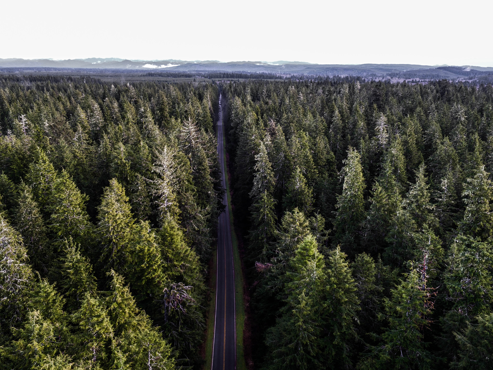 DJI FC550 sample photo. Eye in the sky - olympic rainforest, washington photography