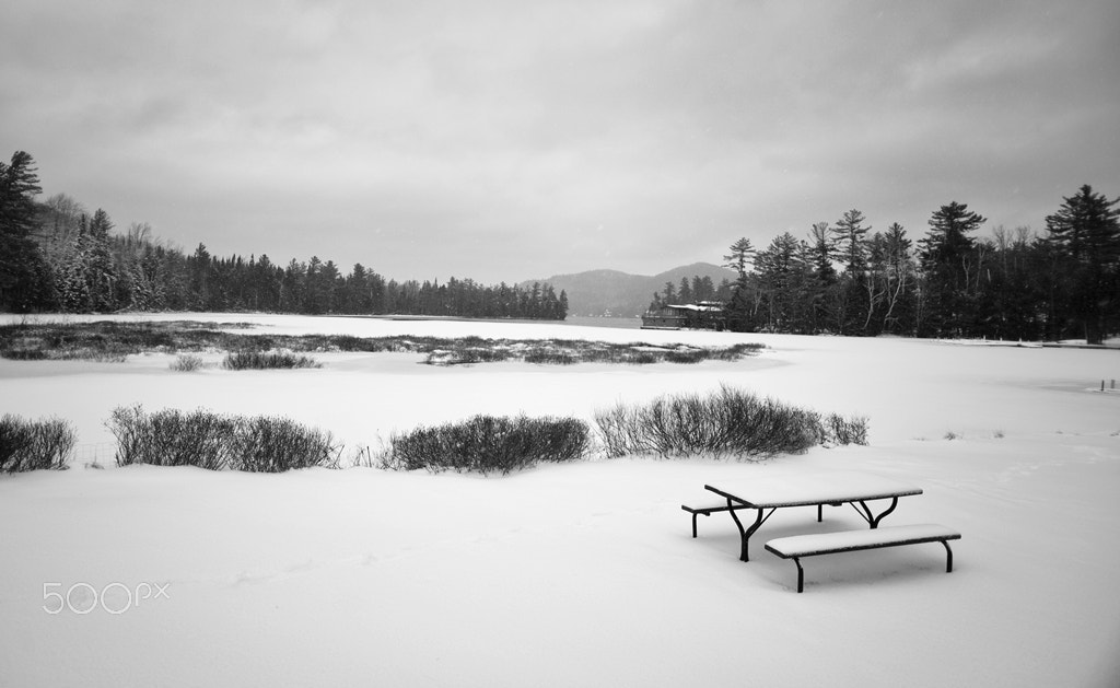 Nikon D600 + Sigma 20mm F1.8 EX DG Aspherical RF sample photo. Front row street photography