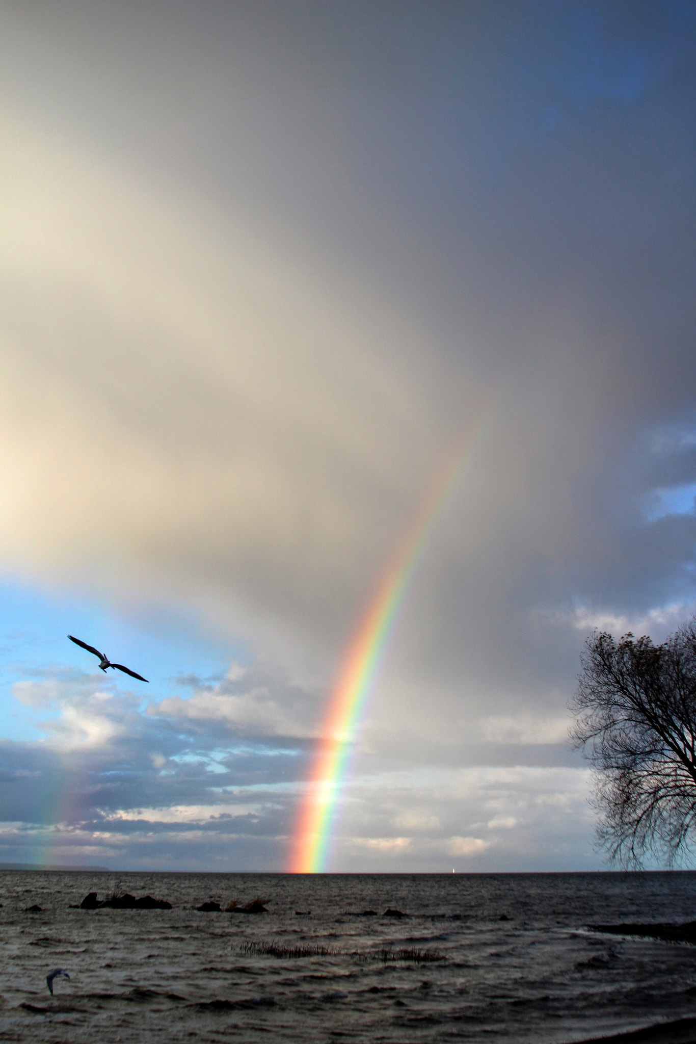 Canon EOS 100D (EOS Rebel SL1 / EOS Kiss X7) sample photo. Chequamegon rainbow photography